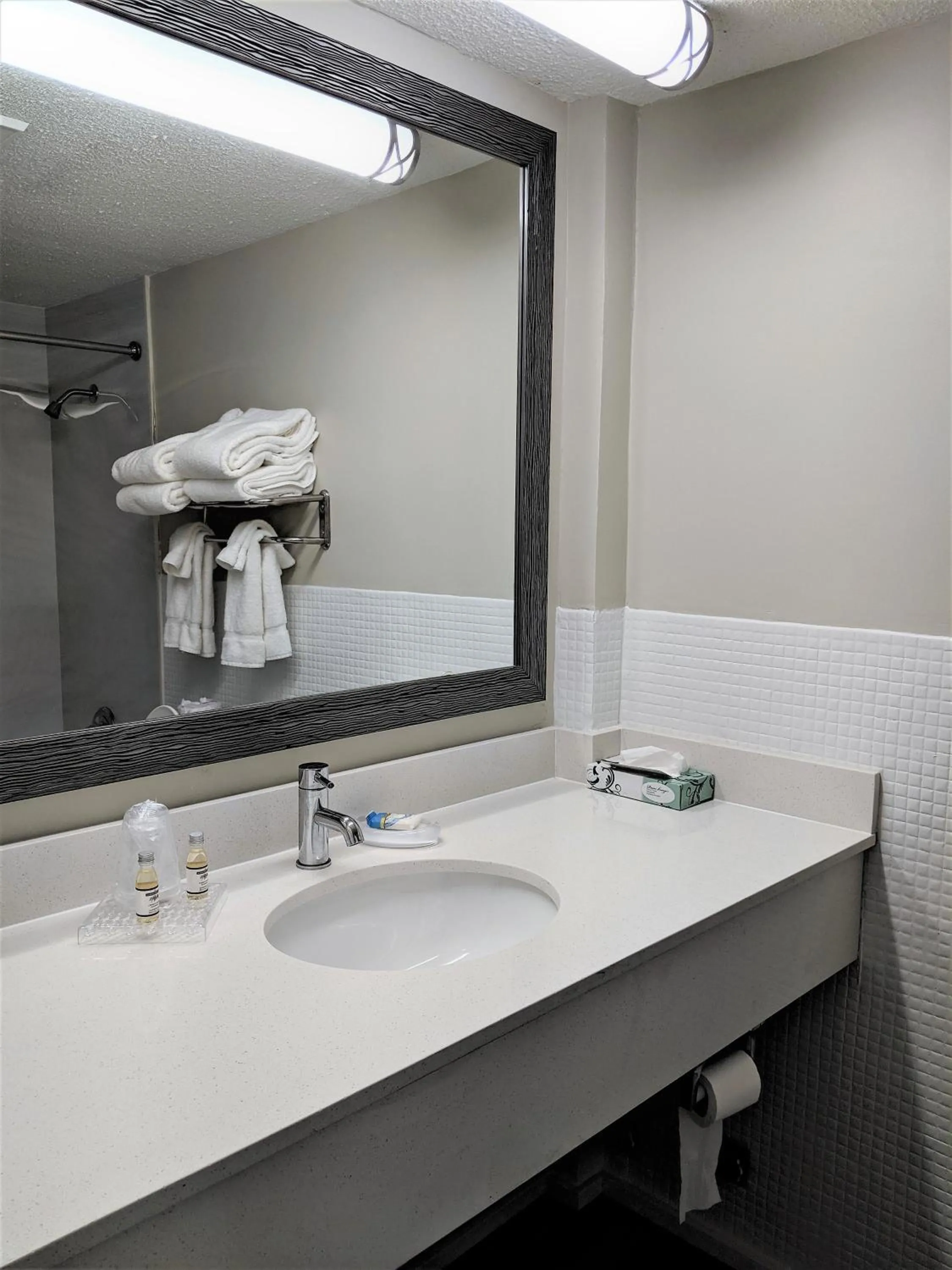 Bathroom in Lakefront Terrace Resort