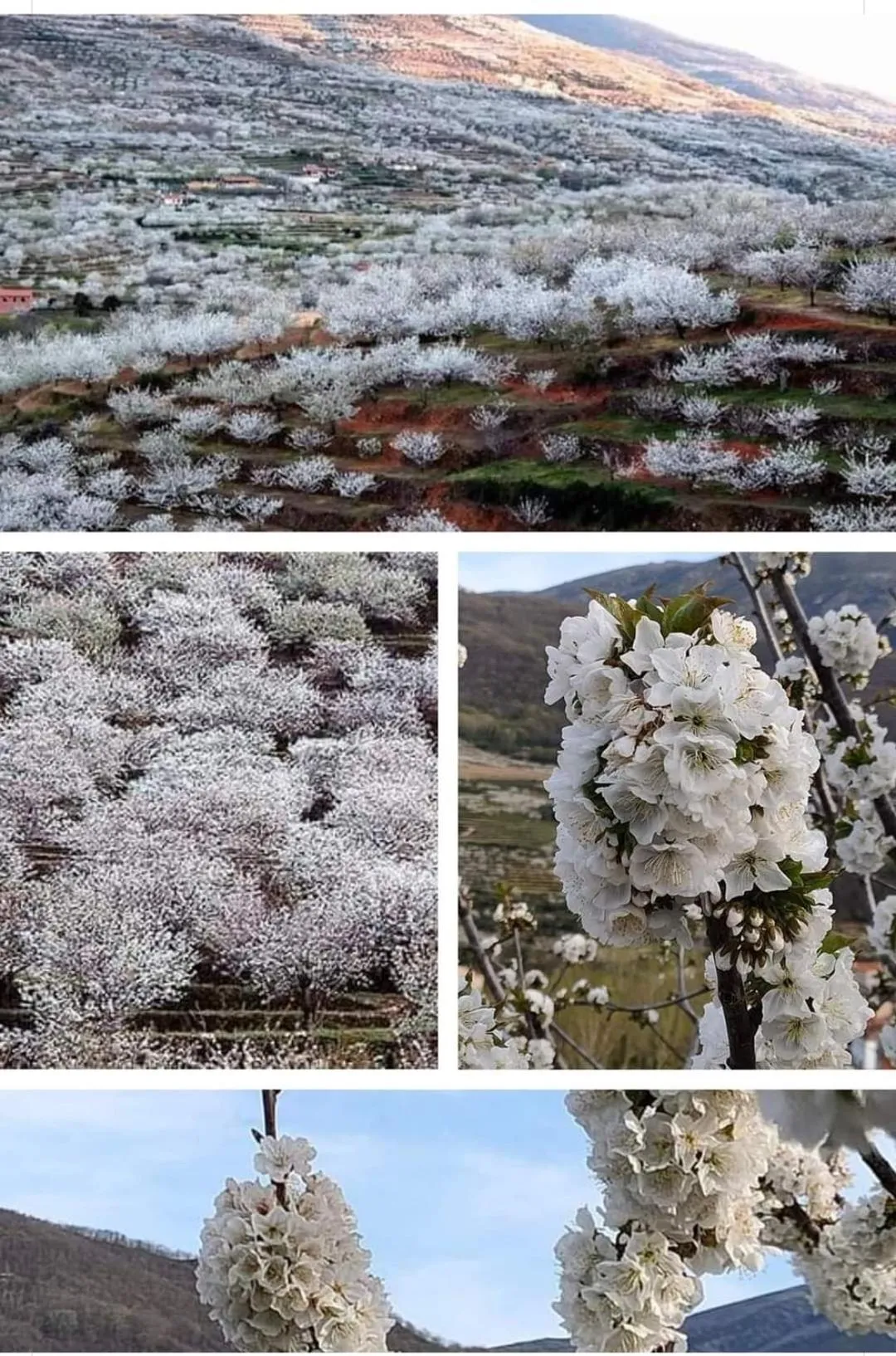 Natural landscape in Apartamentos Rurales La Vera