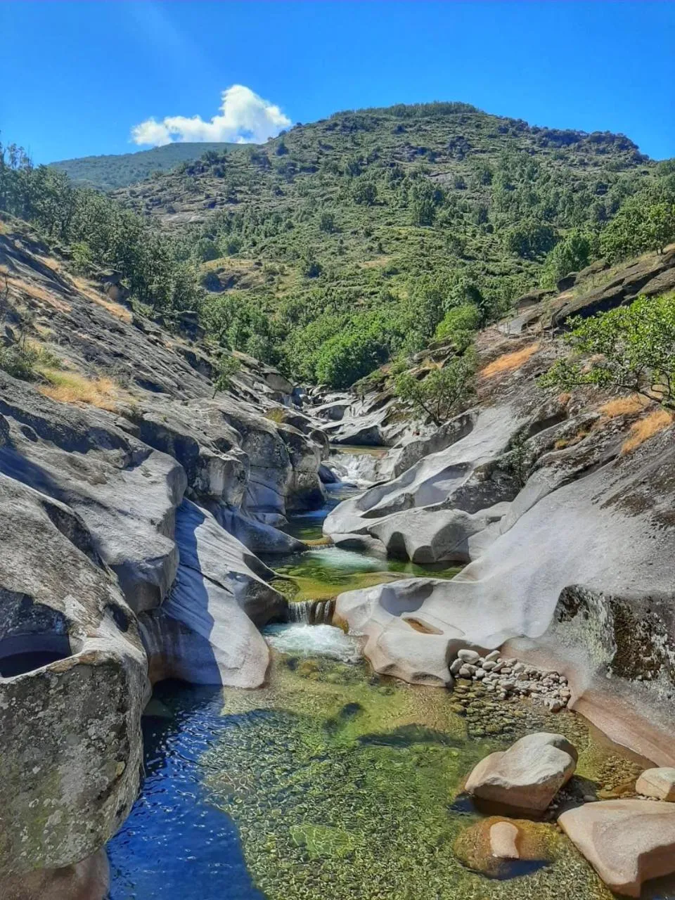 Natural landscape in Apartamentos Rurales La Vera