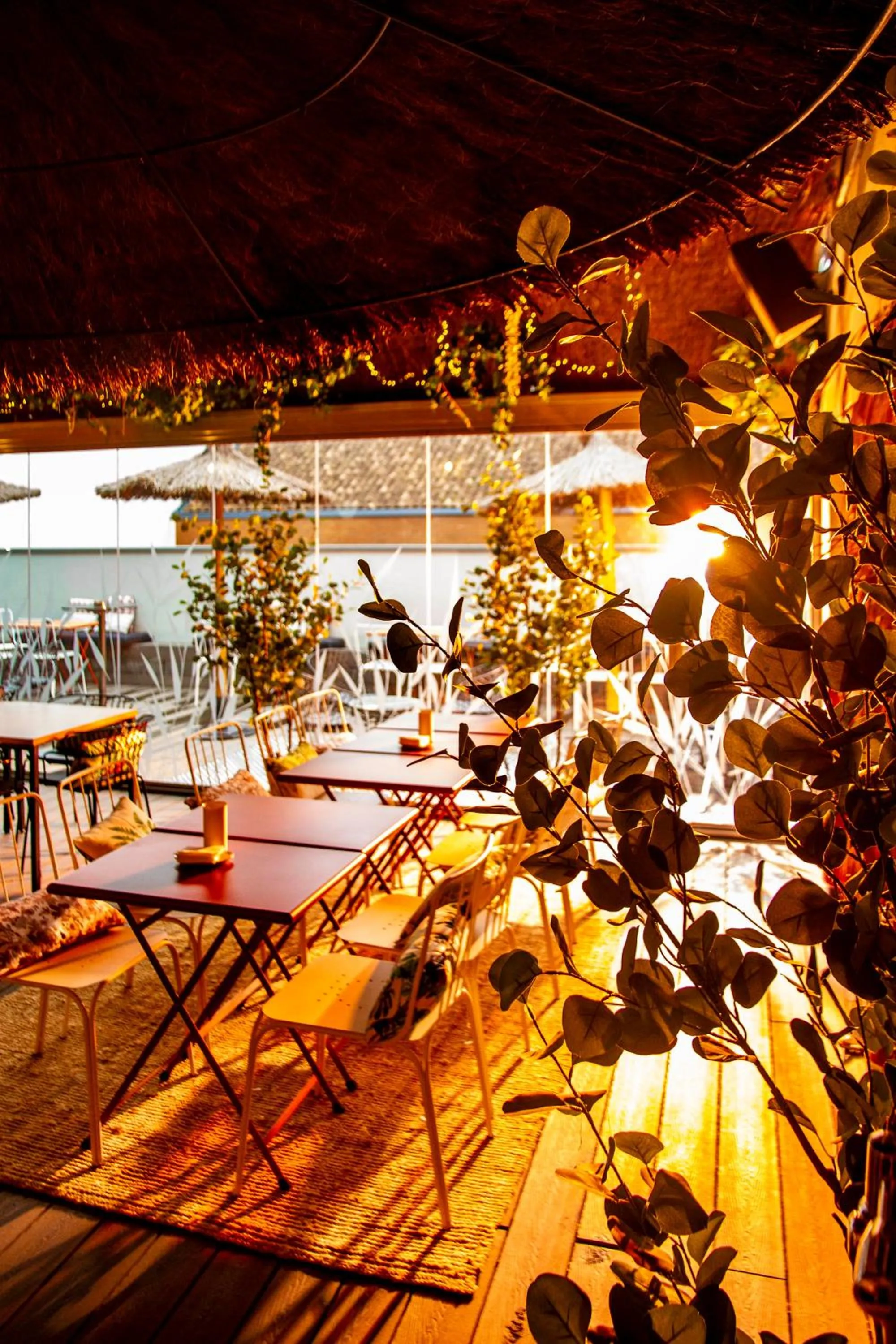 Off site in The Central House Madrid Lavapiés