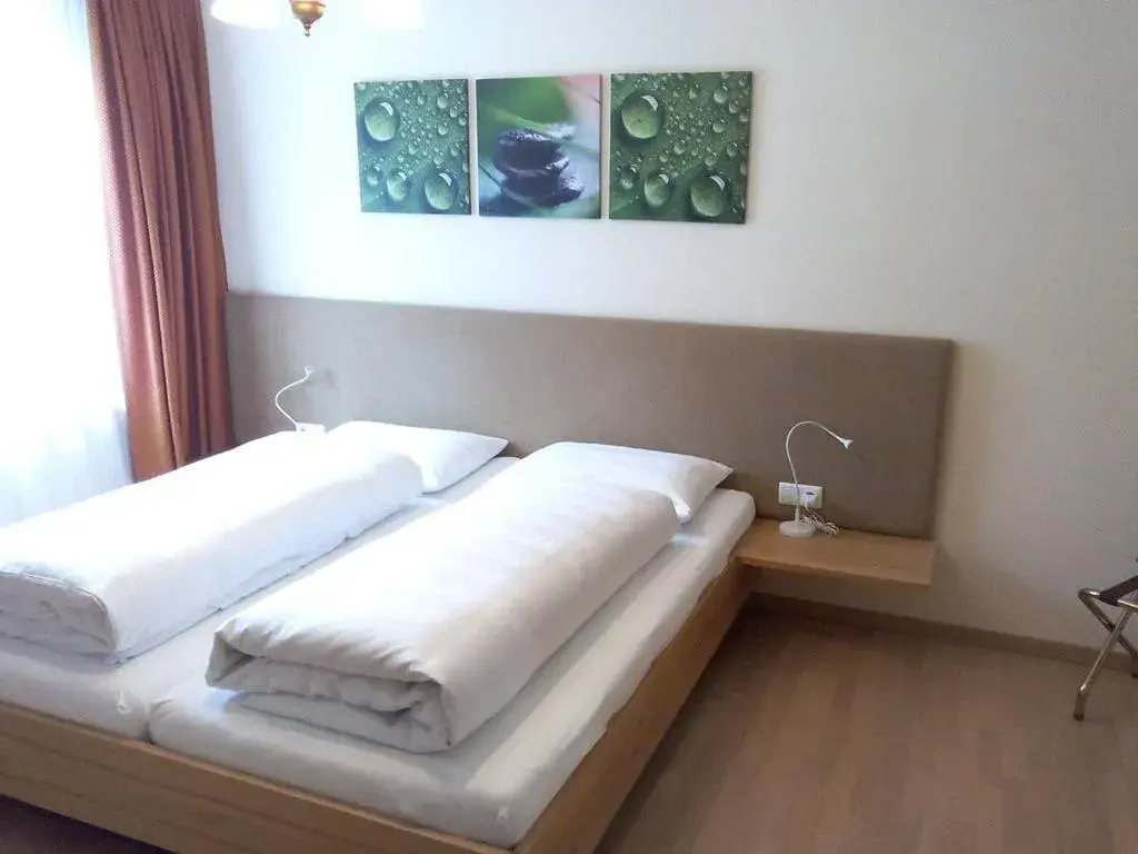 Double Room - single occupancy in Der Löwen, Löwen Betriebs- und Management GmbH Double Room - single occupancy in Der Löwen, Löwen Betriebs- und Management GmbH