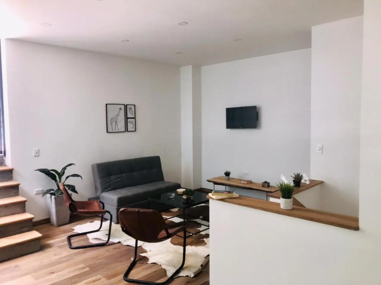 TV and multimedia in Soy Local Primavera