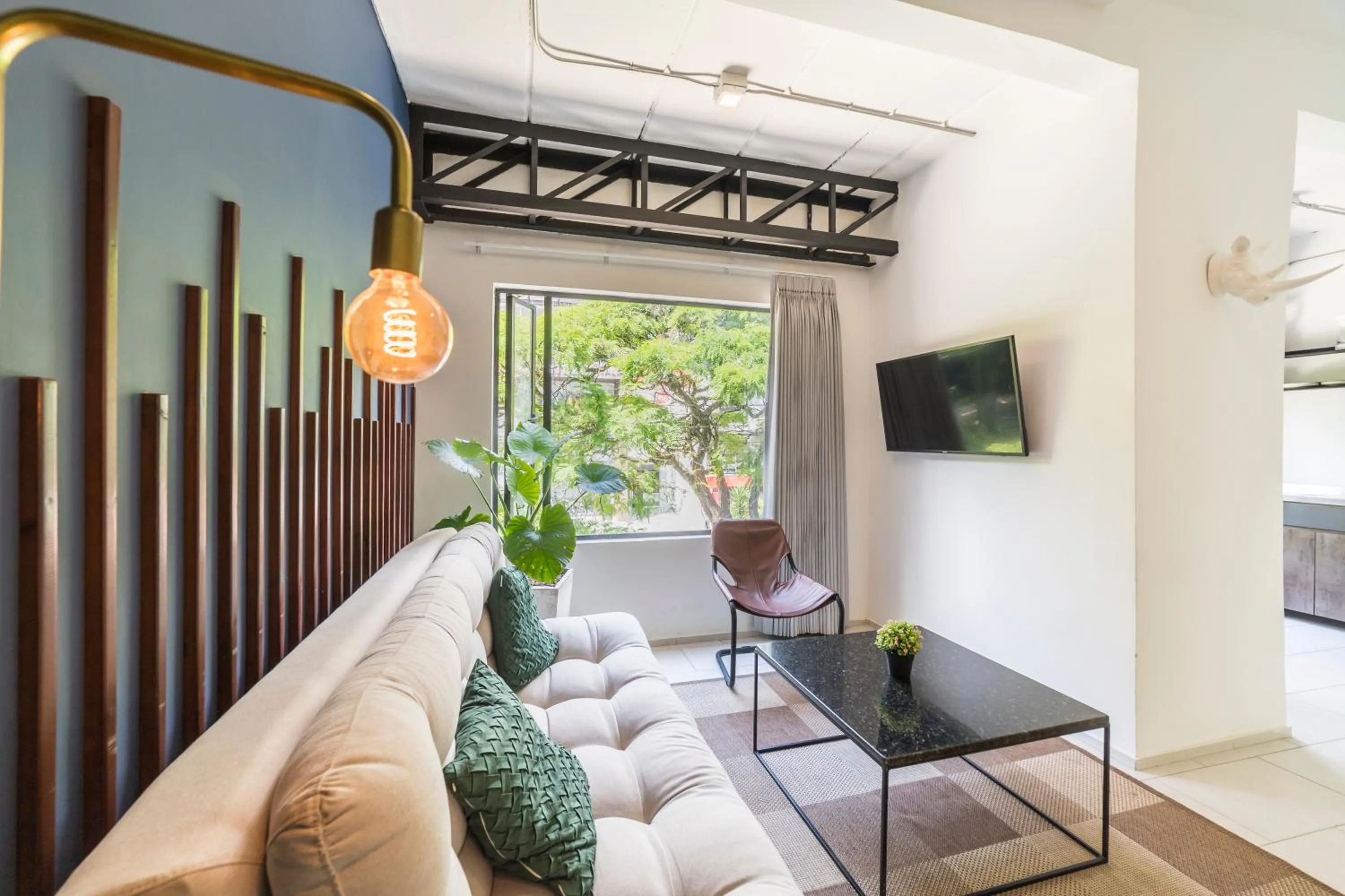 TV and multimedia in Soy Local Primavera