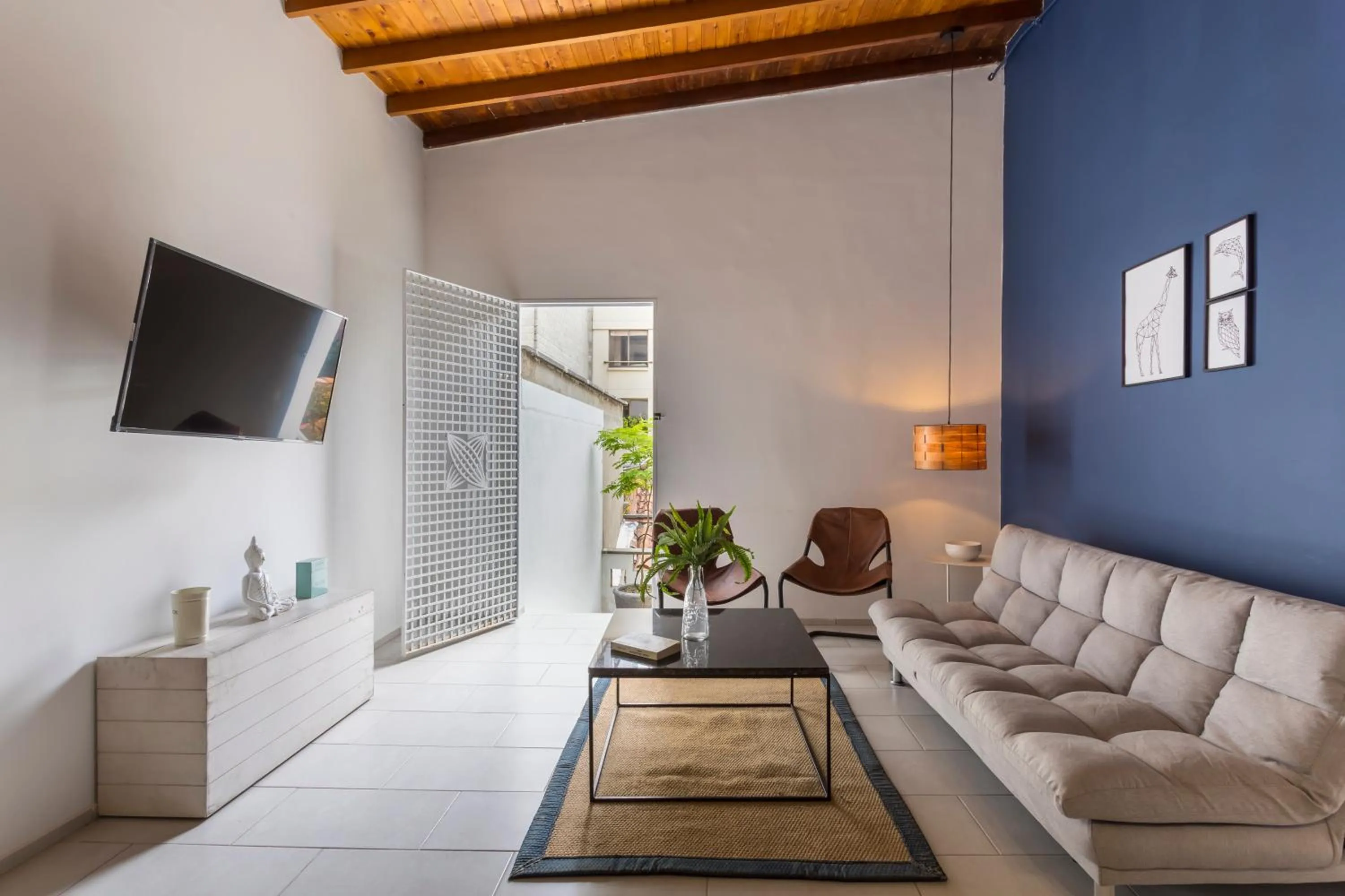 TV and multimedia in Soy Local Primavera