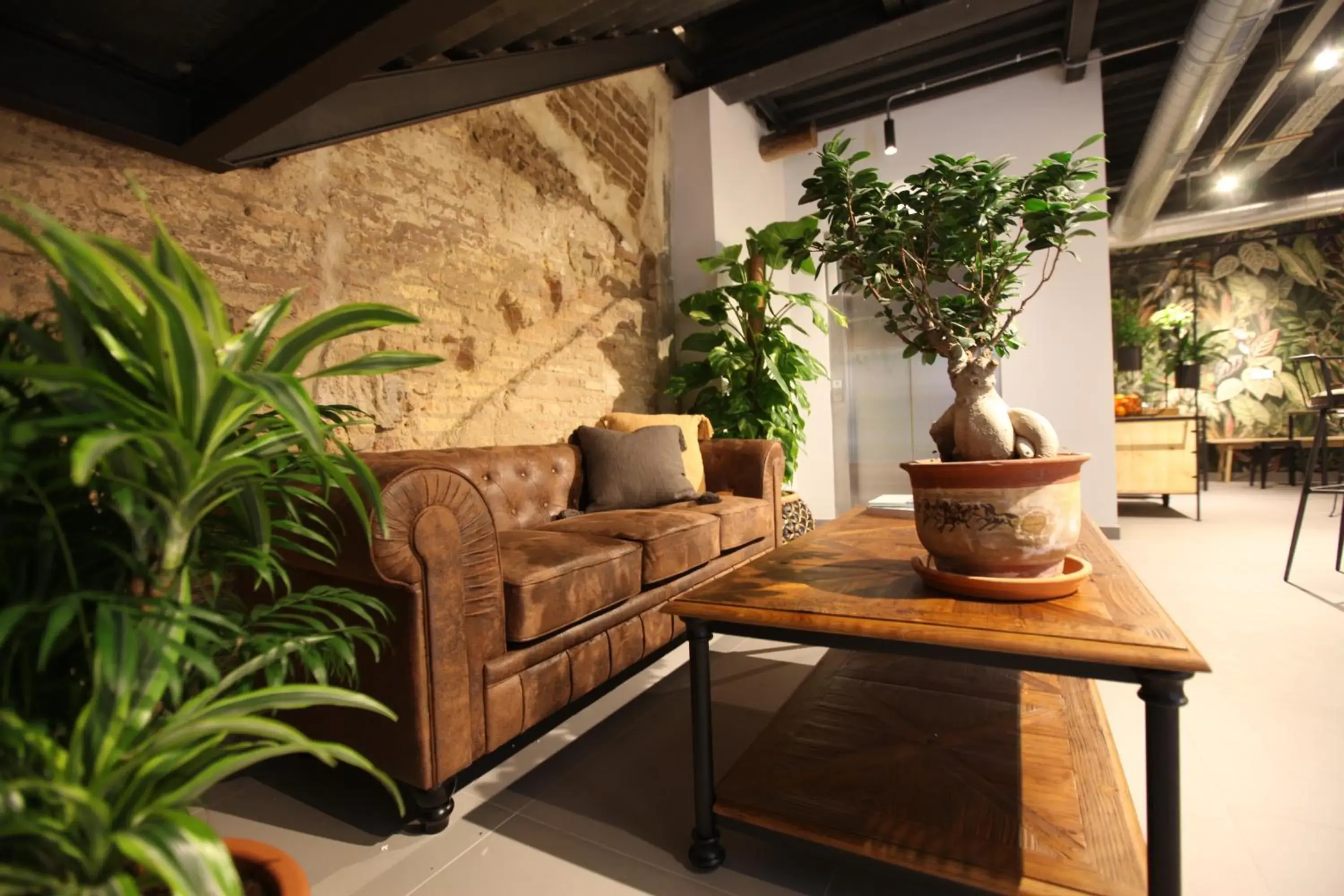 VTZ The Botanic Hostel VTZ The Botanic Hostel