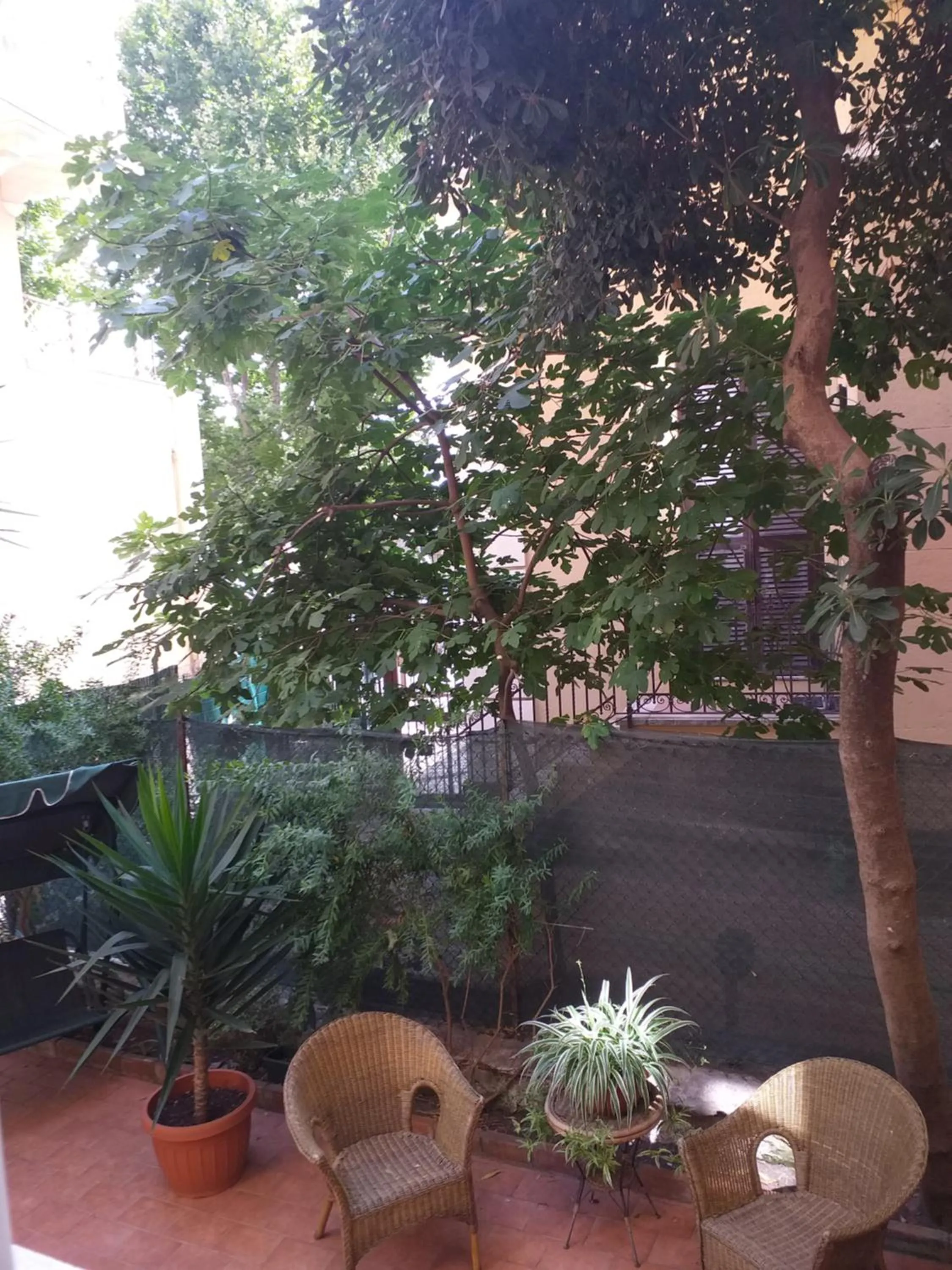 Patio in B&B Acquamarina