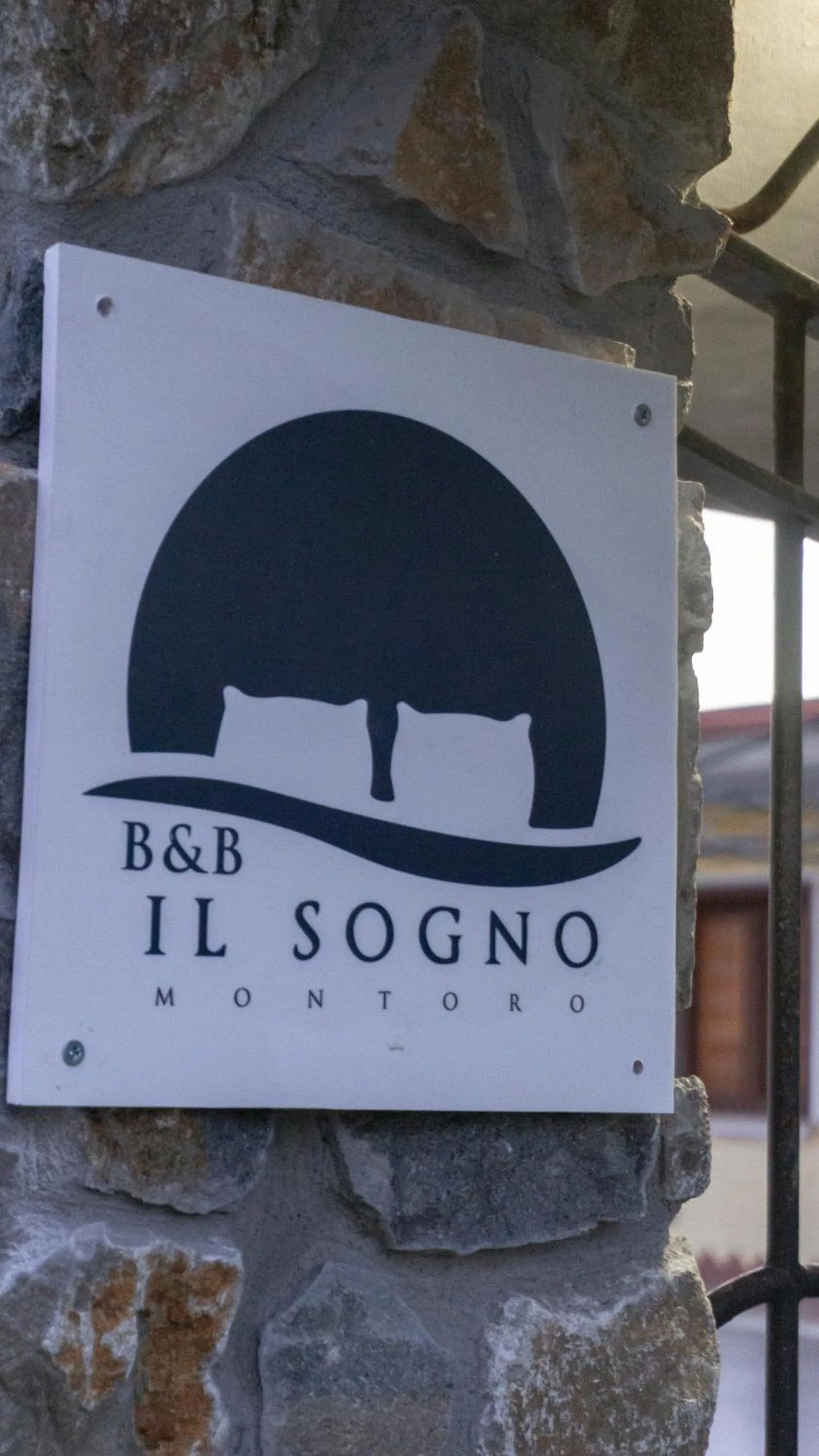 IL SOGNO