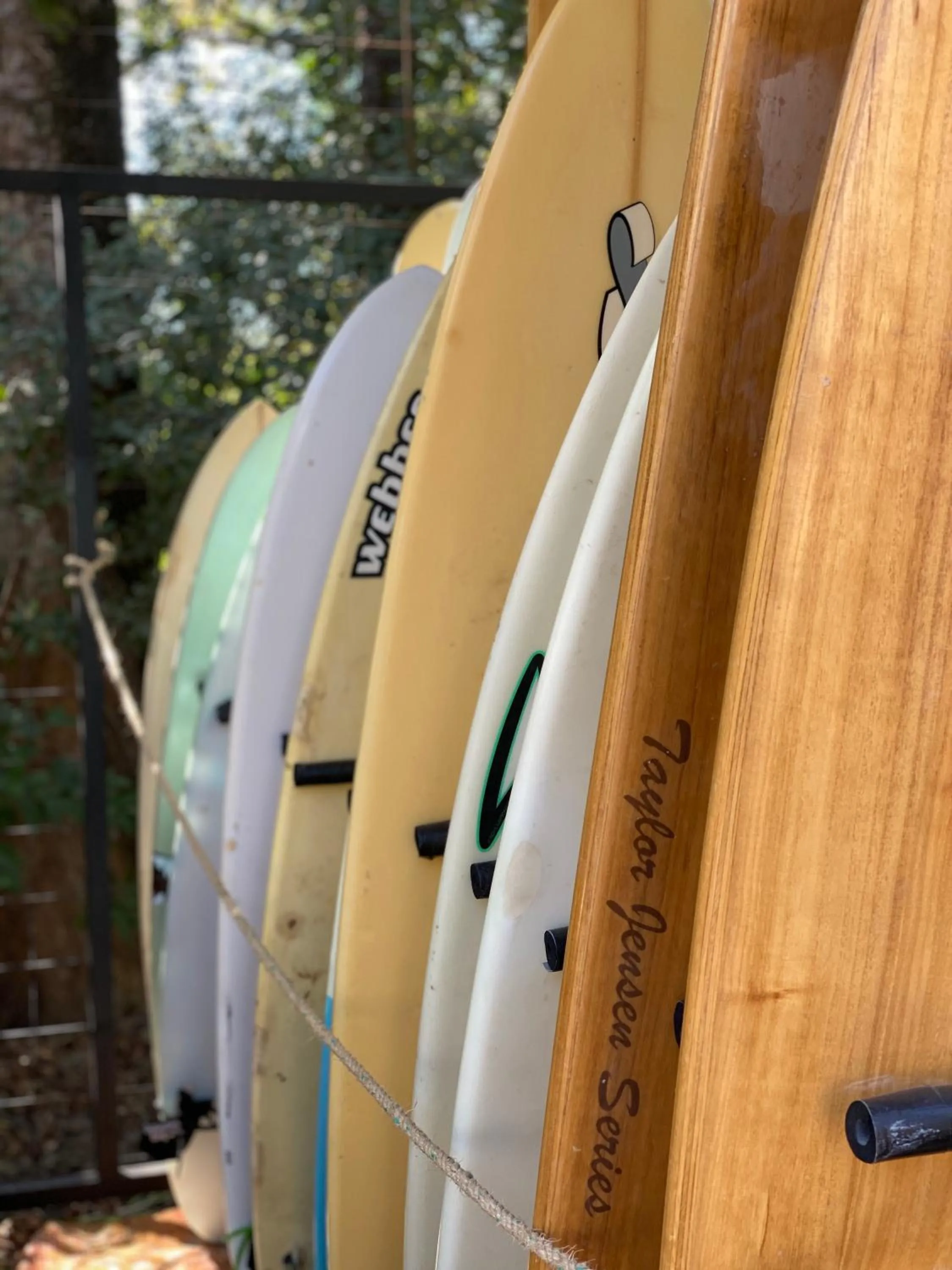 Sports in Ride On! Surf Hotel