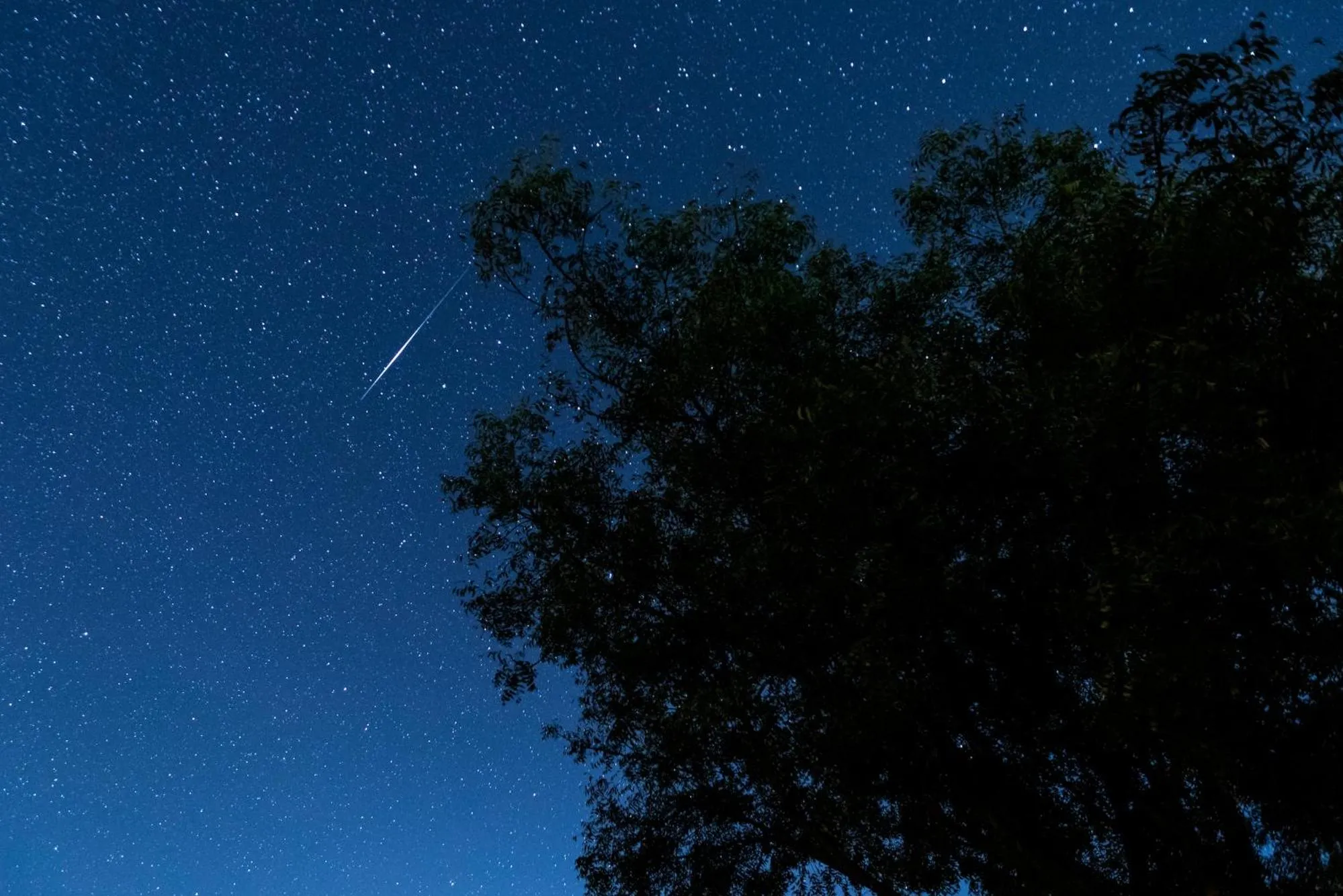 Night in Sariska Manor Luxury Cottages Tehla