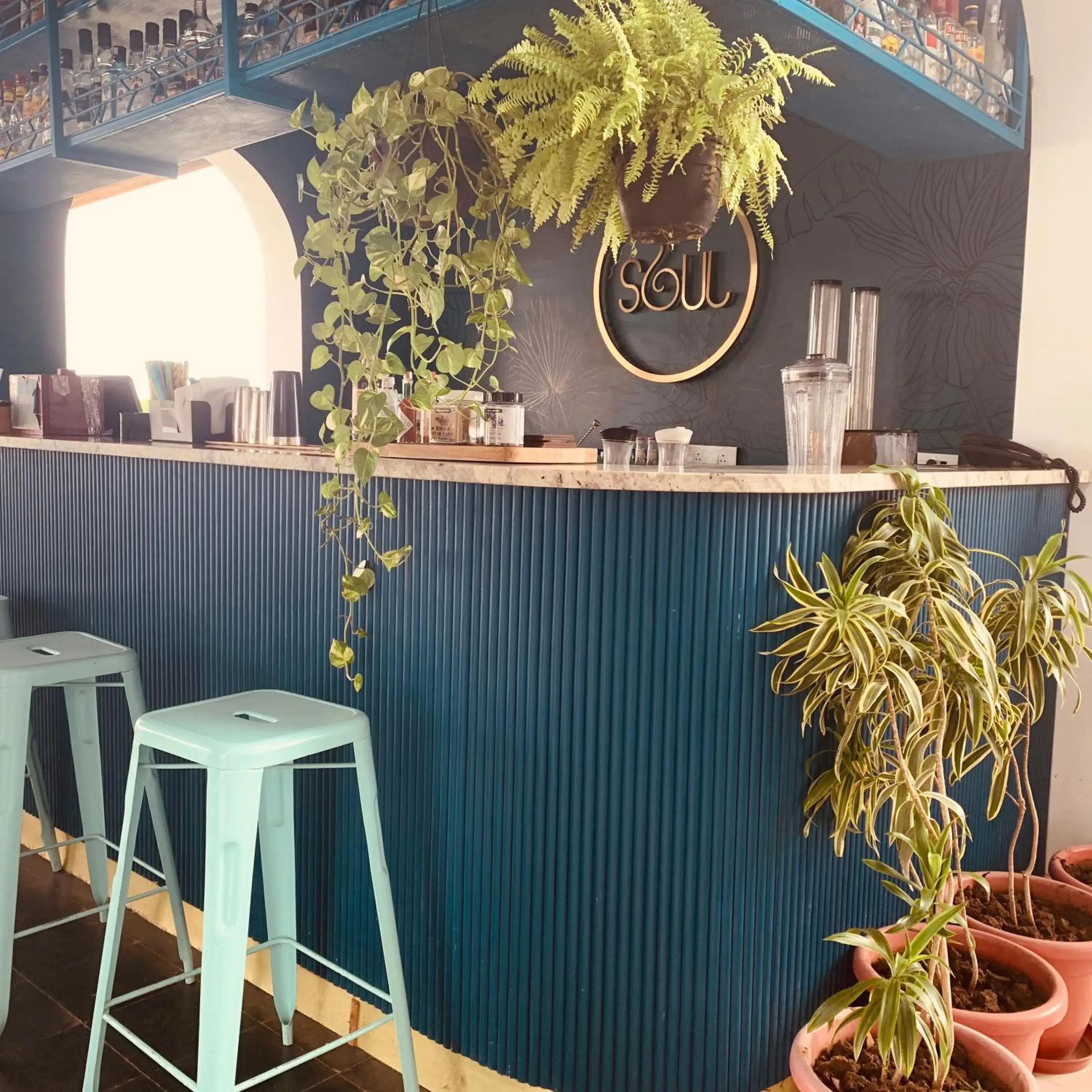 Lounge or bar in The Sierra - By The Lake Lounge or bar in The Sierra - By The Lake