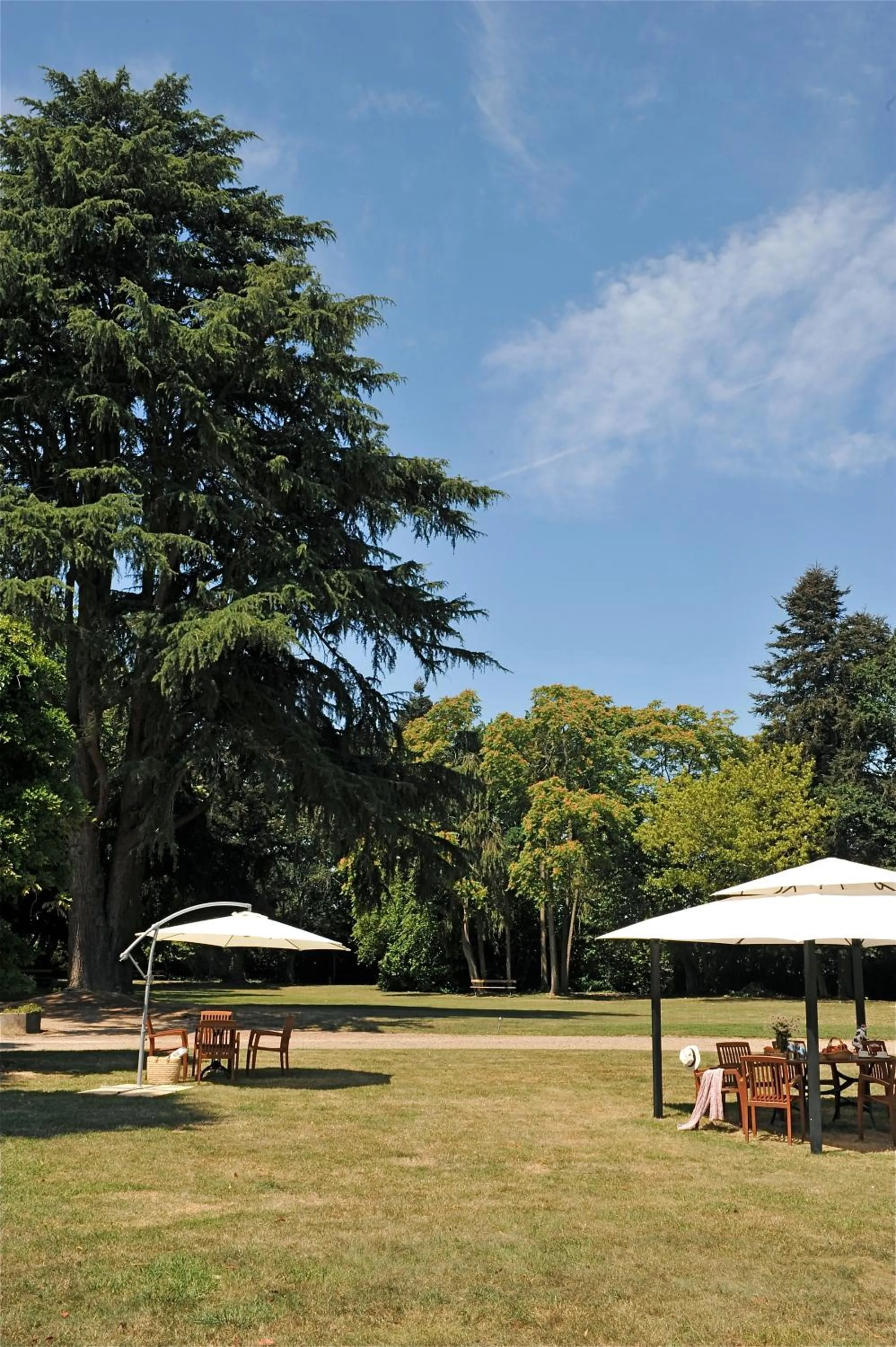 Garden in Logis Le Parc Hotel & Spa
