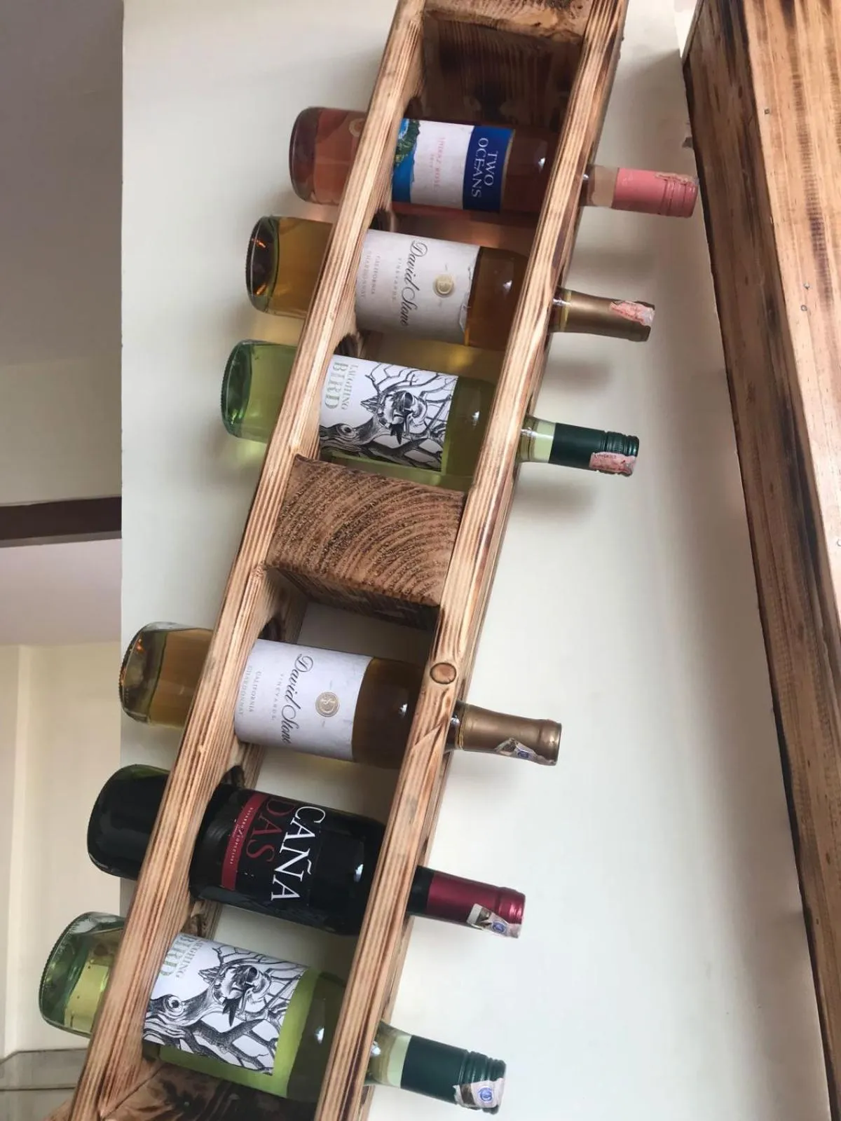 Lounge or bar in Holiday Hostel