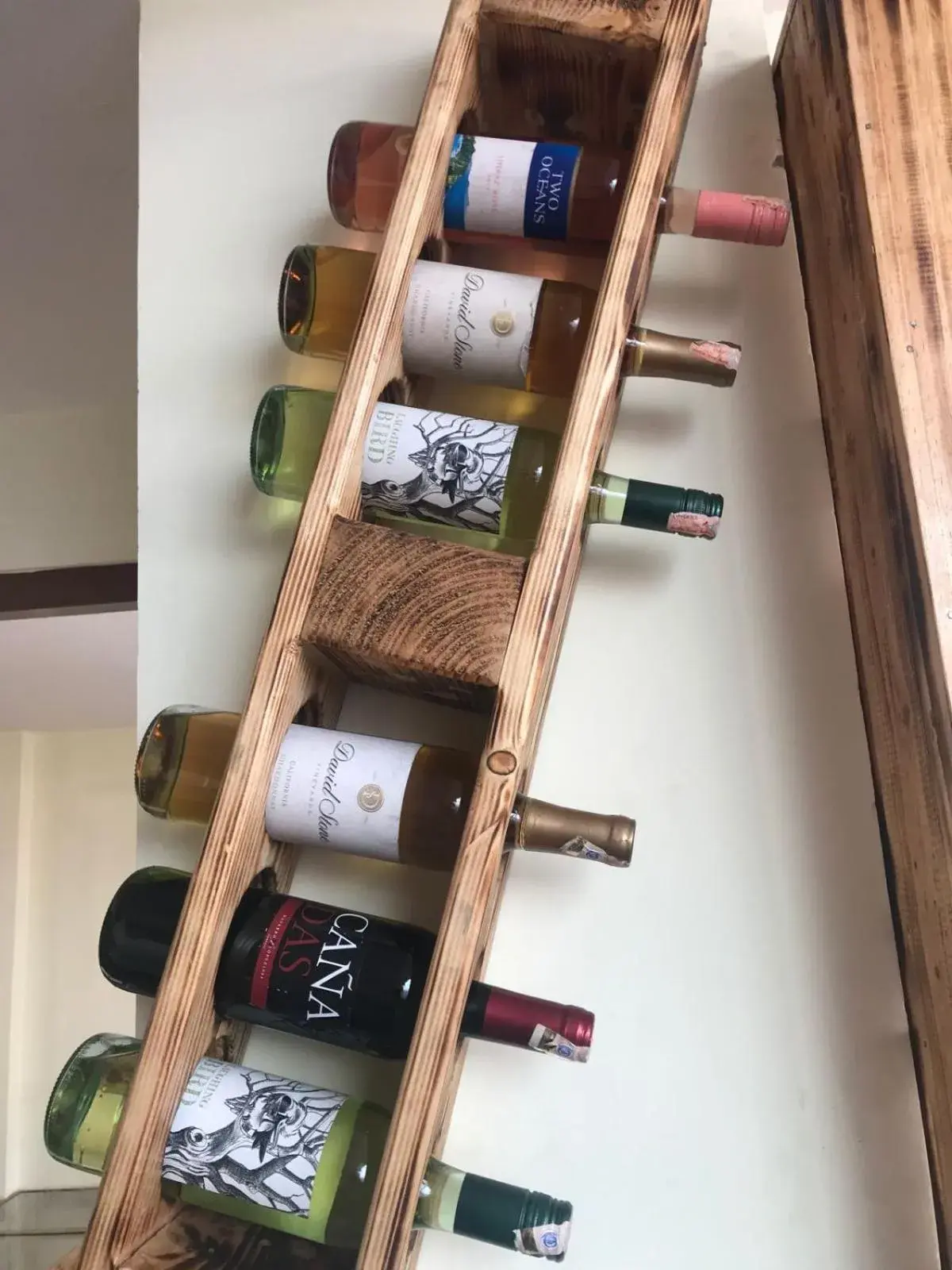 Lounge or bar in Holiday Hostel Lounge or bar in Holiday Hostel