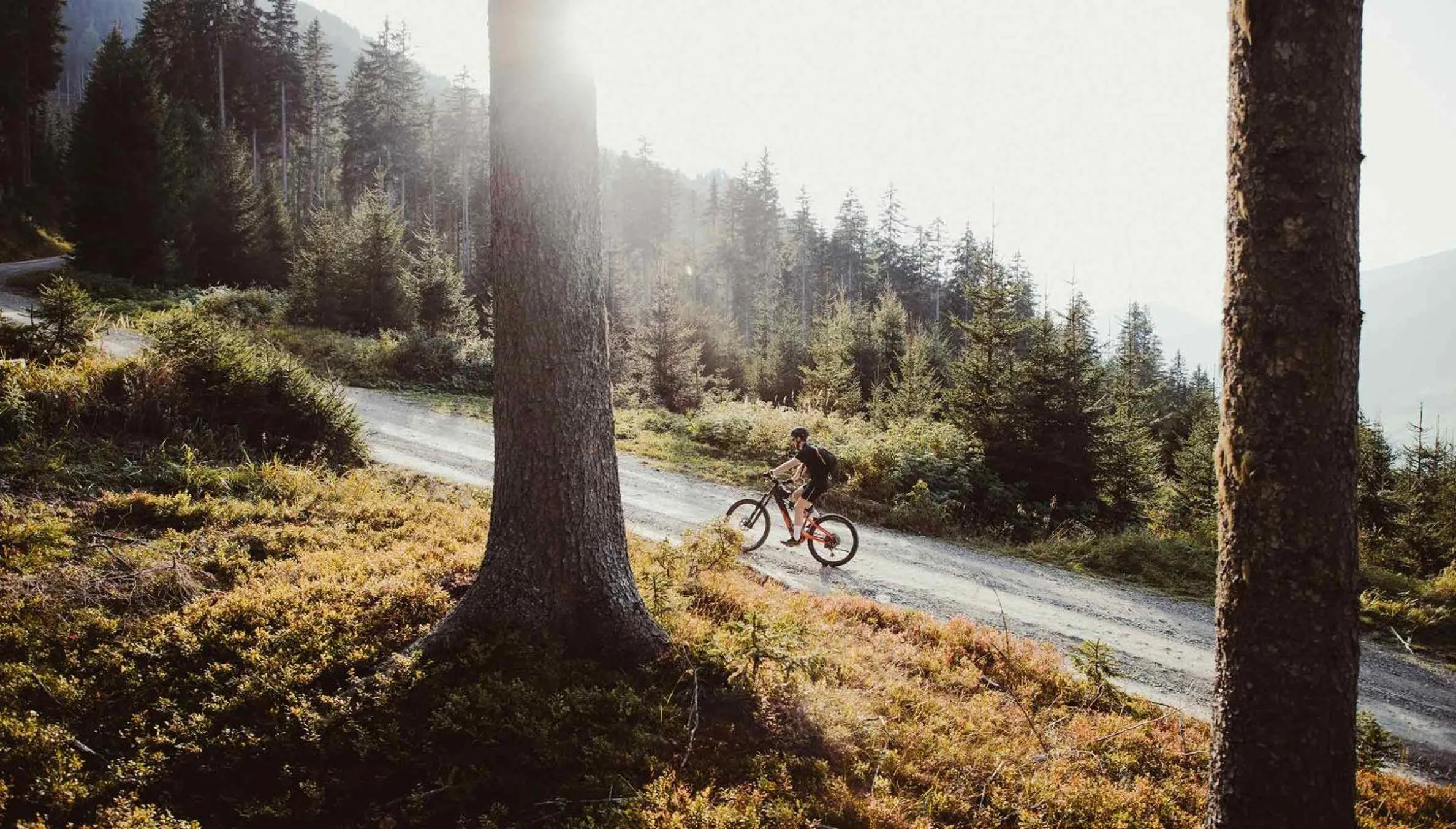 Activities in Tillga Glück - 4 stars