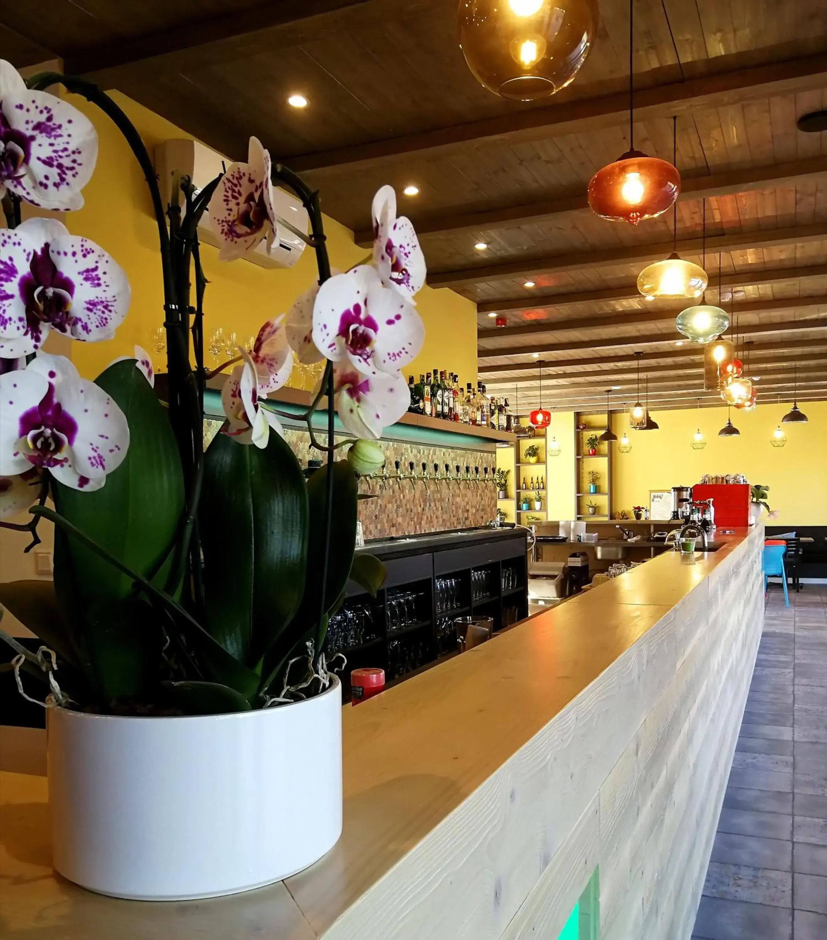 Restaurant/places to eat in Ludwig Hotel Restaurant/places to eat in Ludwig Hotel