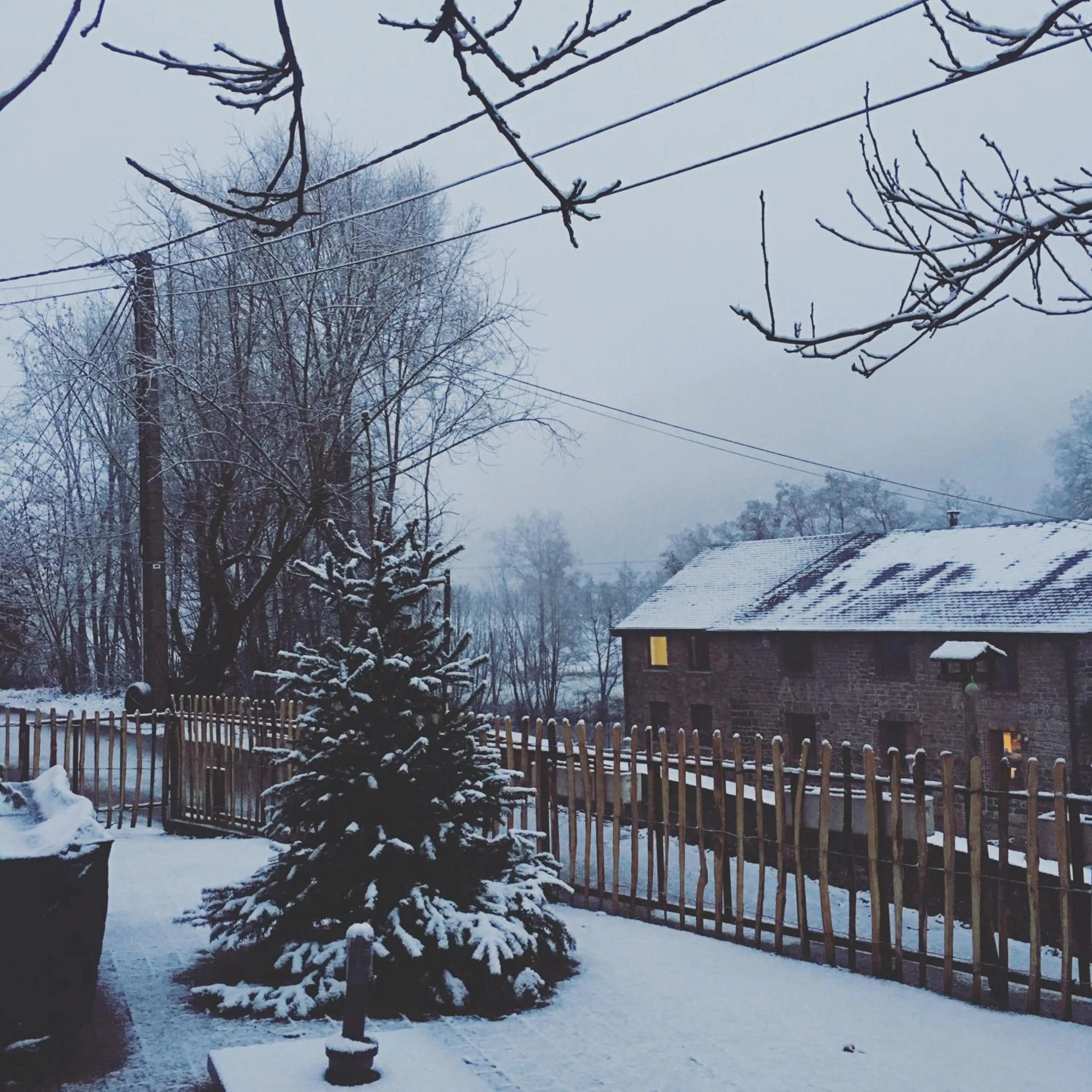 Winter in B&B De Notelaar