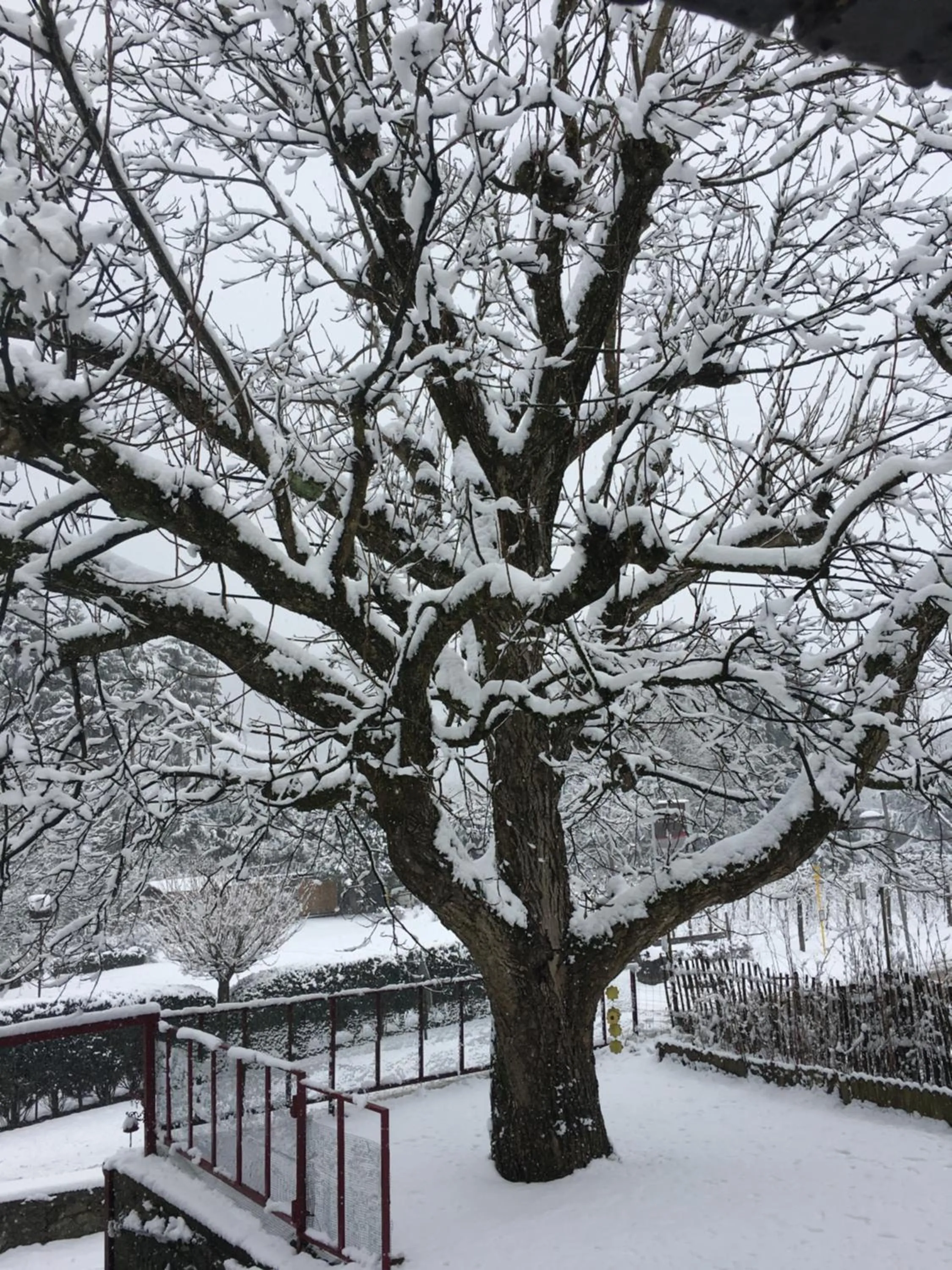 Winter in B&B De Notelaar