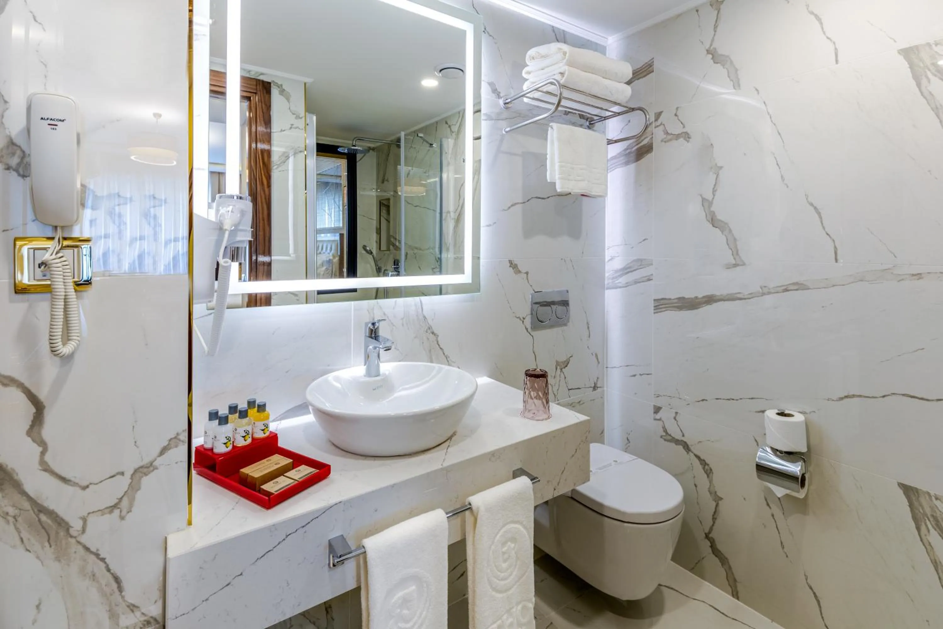 Toilet in Beethoven Senfoni Hotel