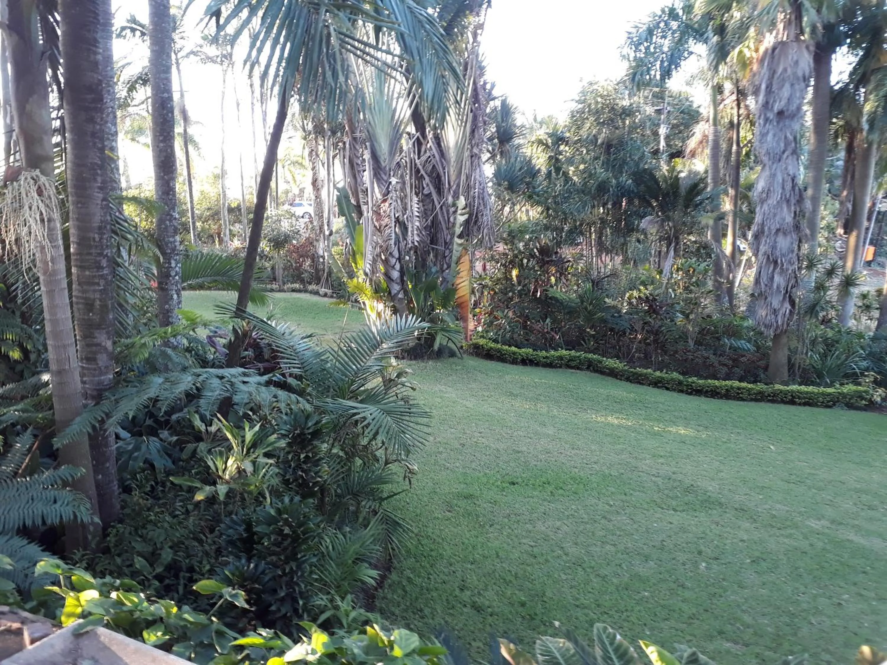 Garden in St George's Guest House