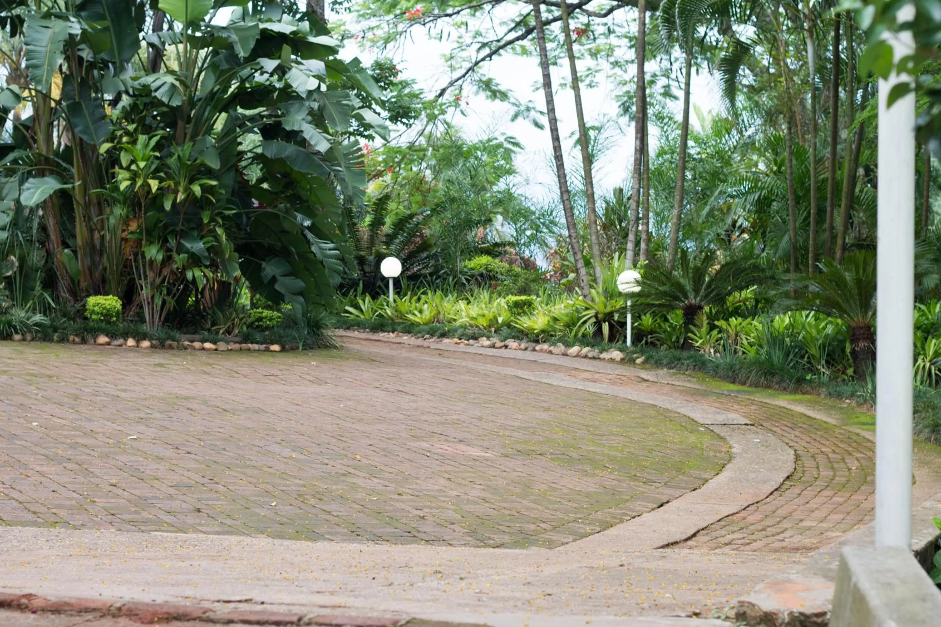 Garden in St George's Guest House
