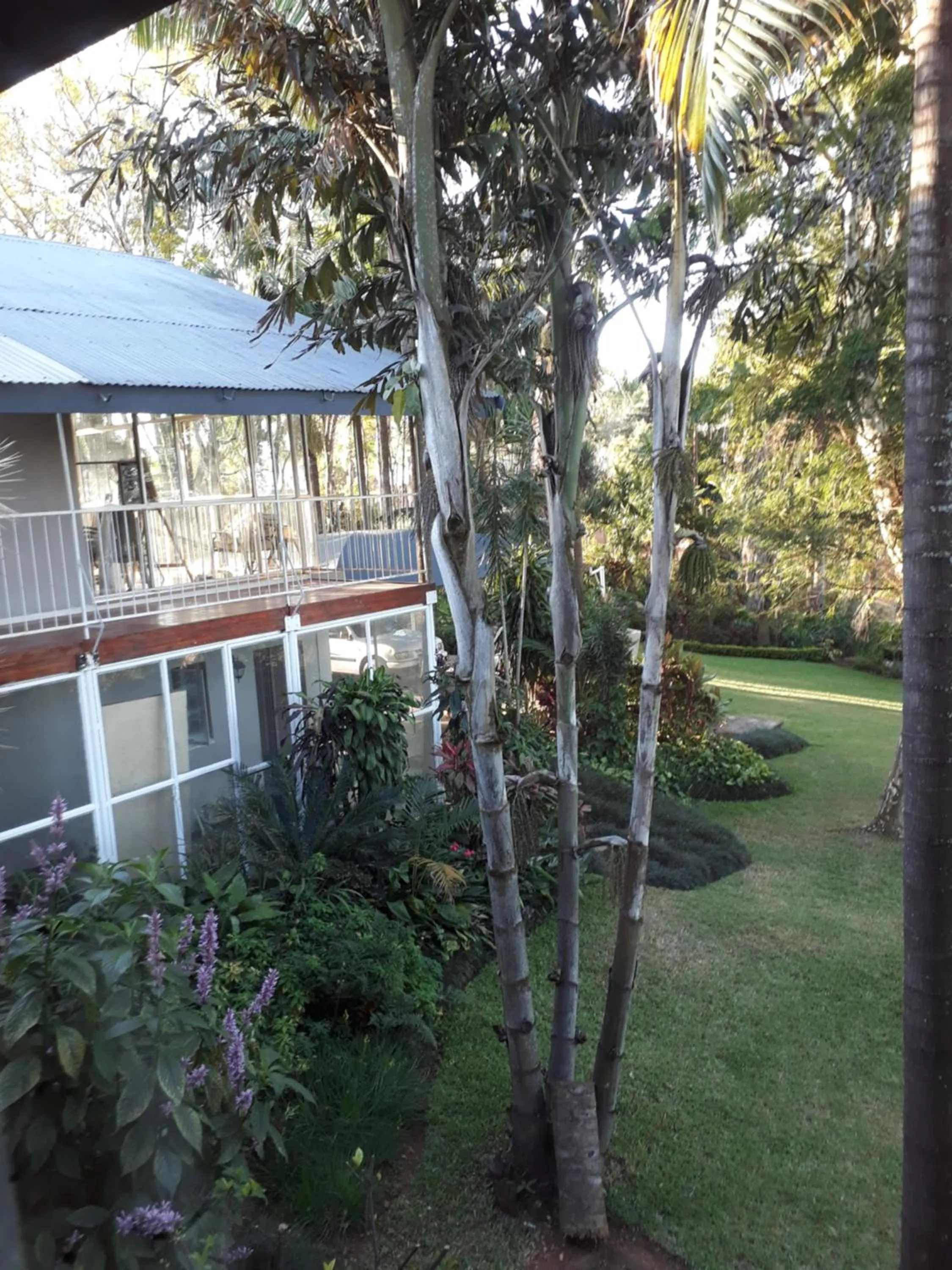 Property building in St George's Guest House