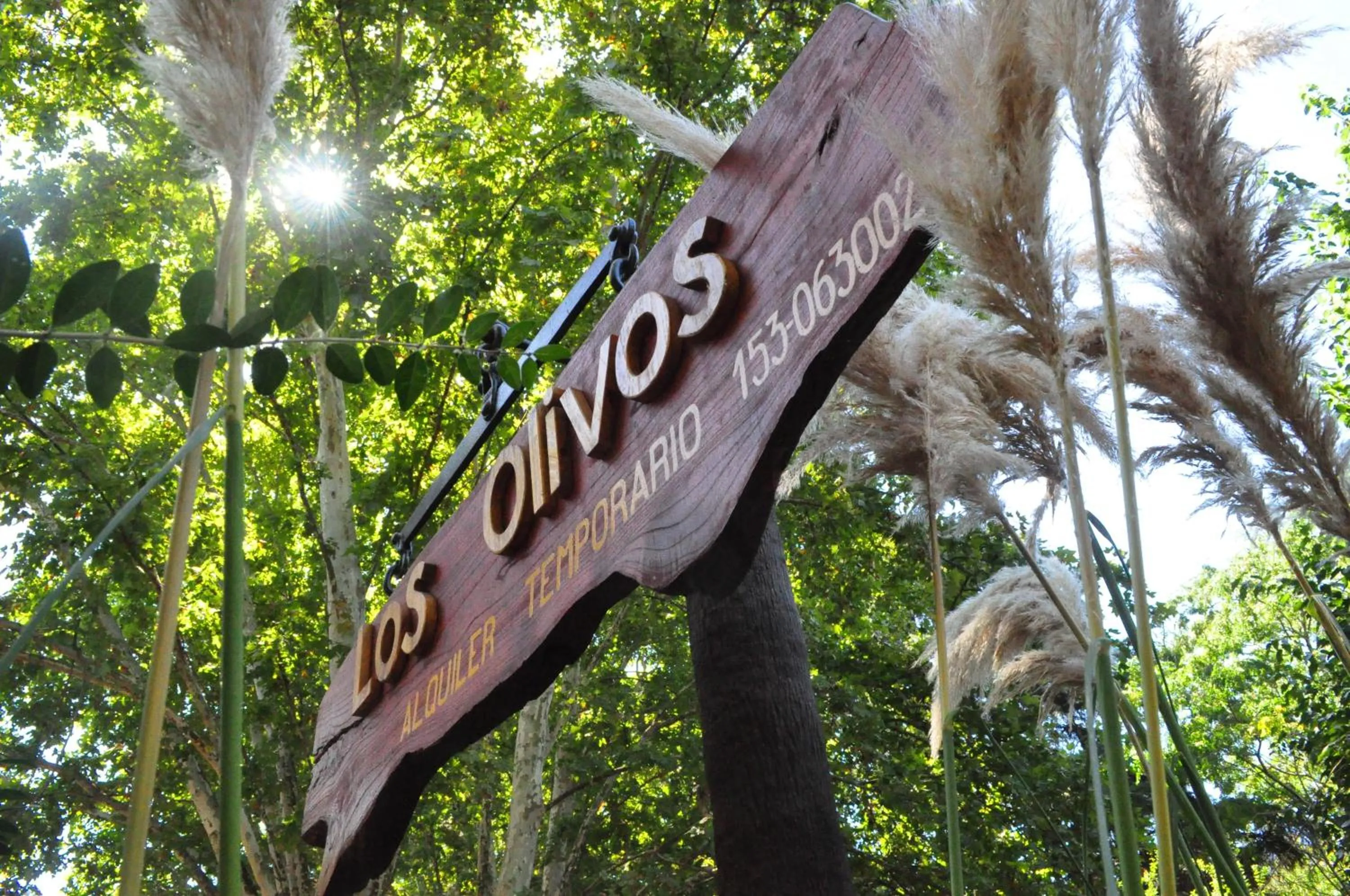 Los Olivos Loft