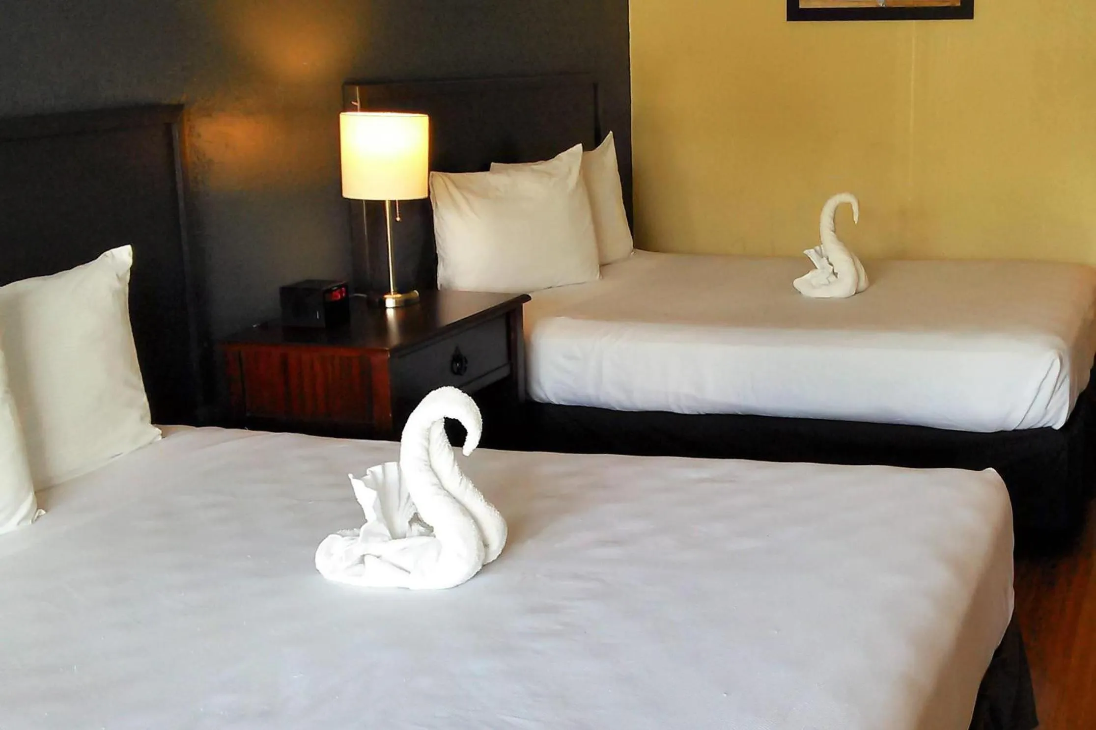 Bedroom, Bed in Econo Lodge Ormond Beach North - Daytona