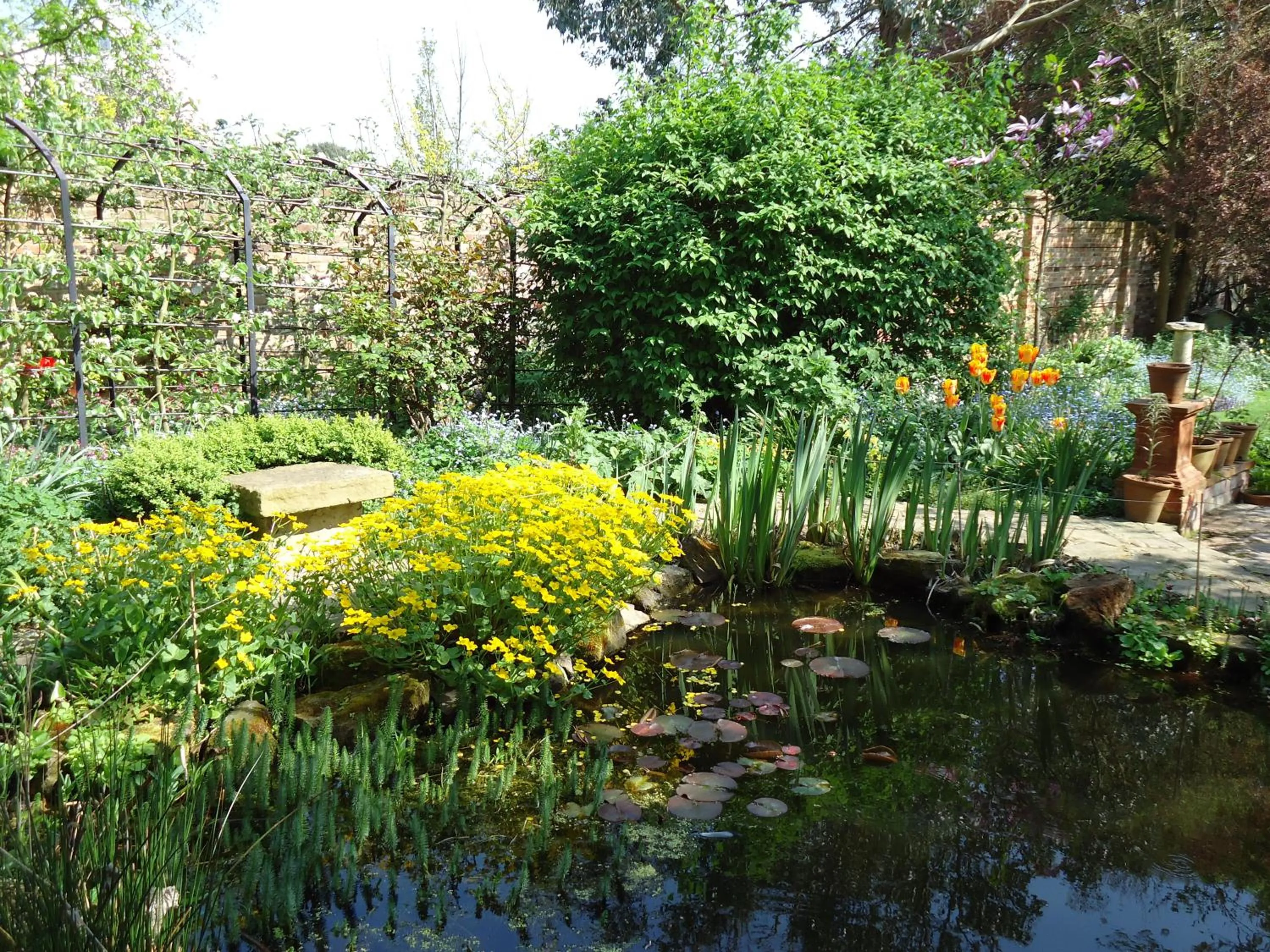 Garden in St Benedict - Victorian Bed and Breakfast