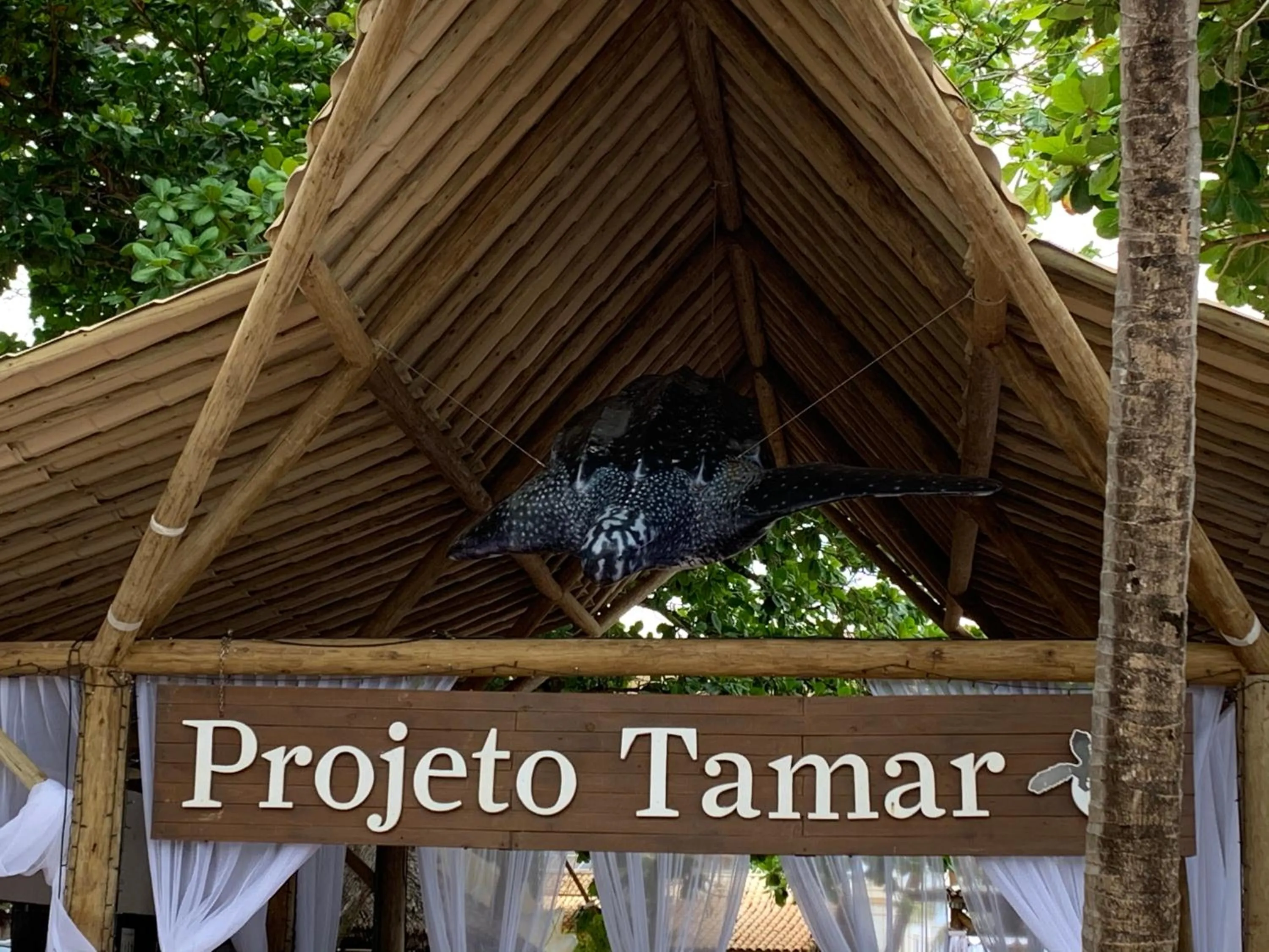 Nearby landmark in Porto Dream Praia do Forte