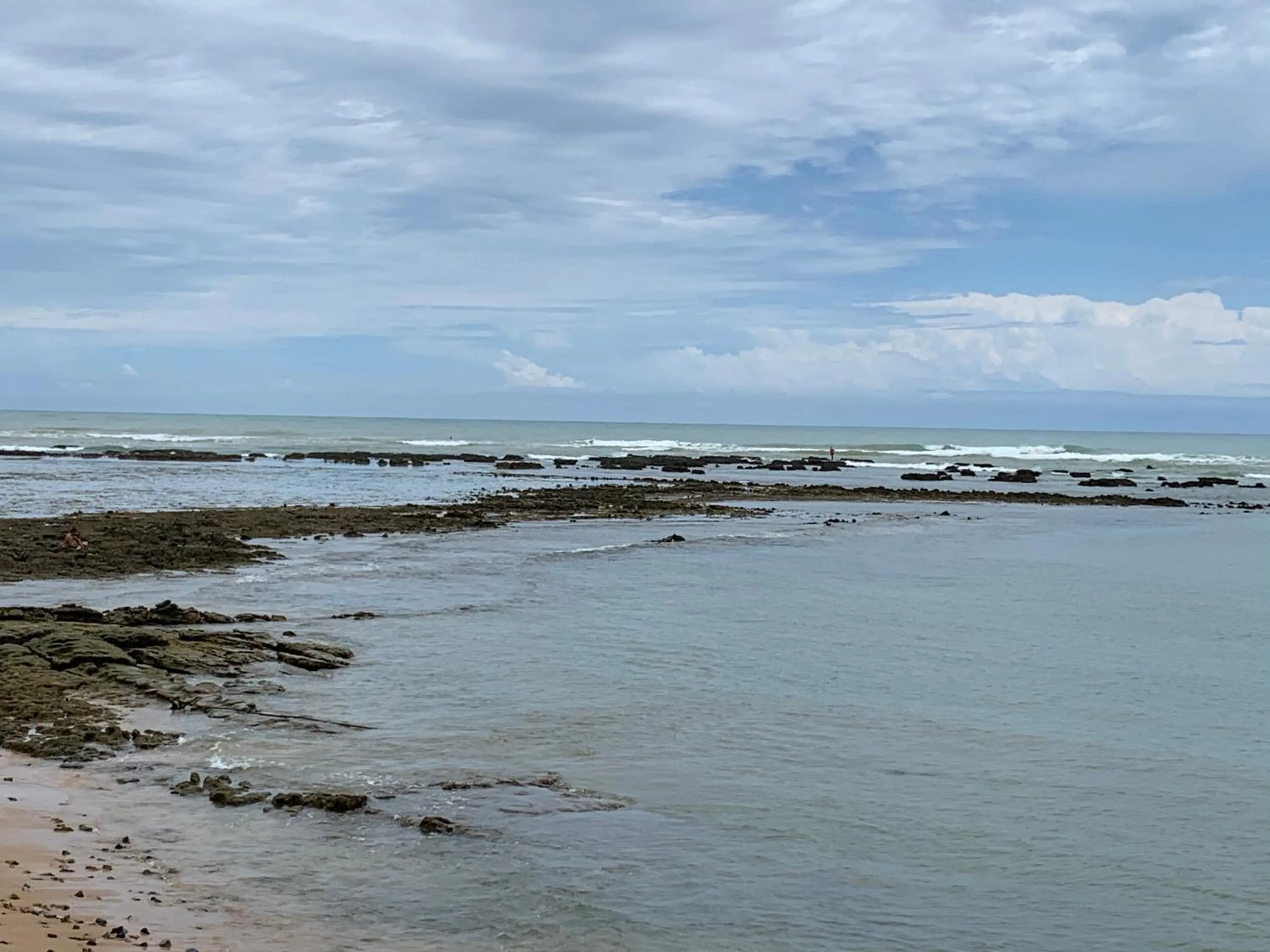 Natural landscape in Porto Dream Praia do Forte