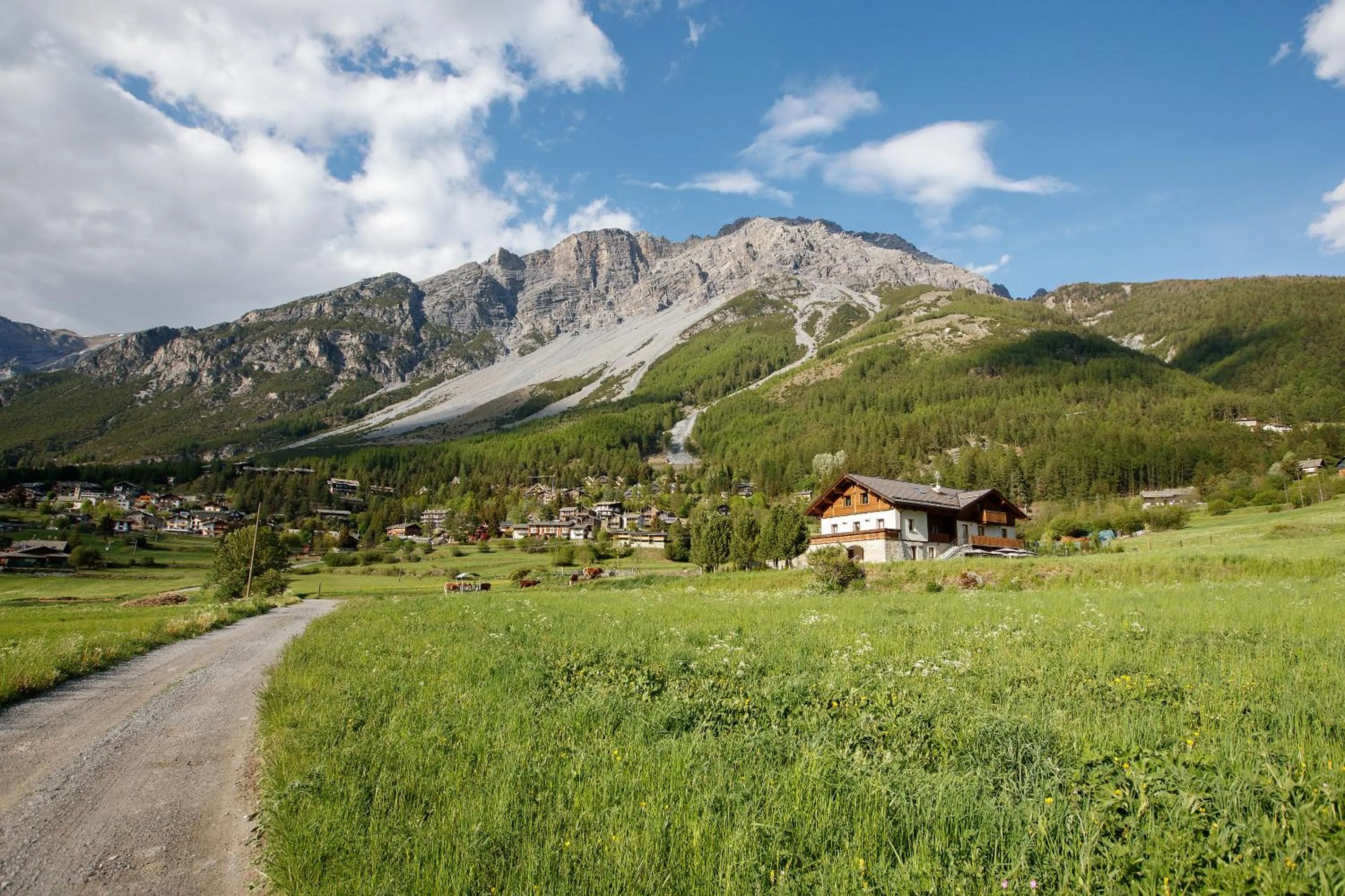 Neighbourhood in Agriturismo San Gallo