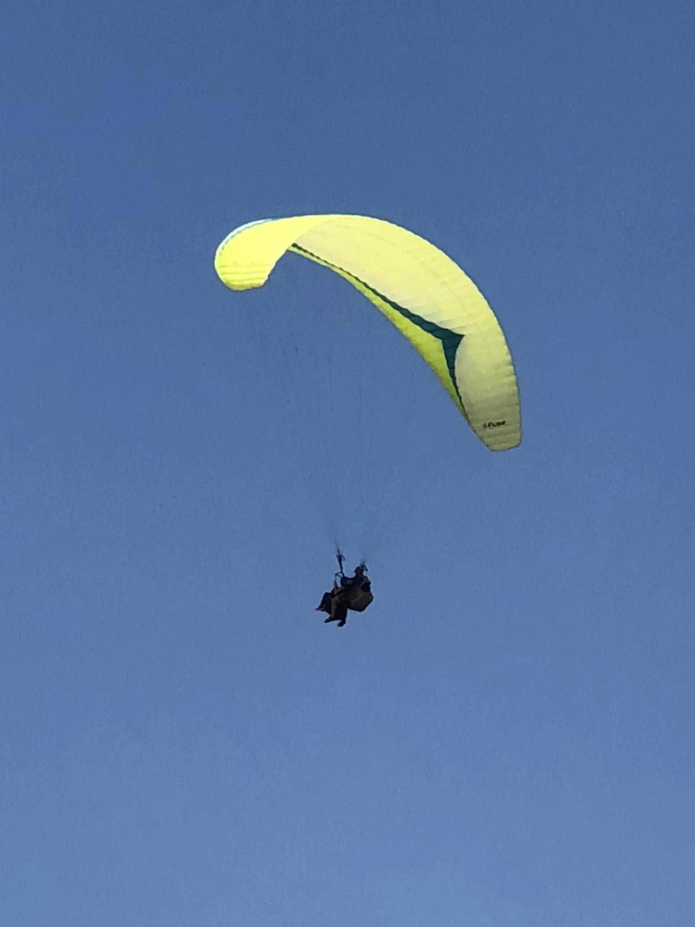 Activities in Venice Beach Apartments Monthly rents