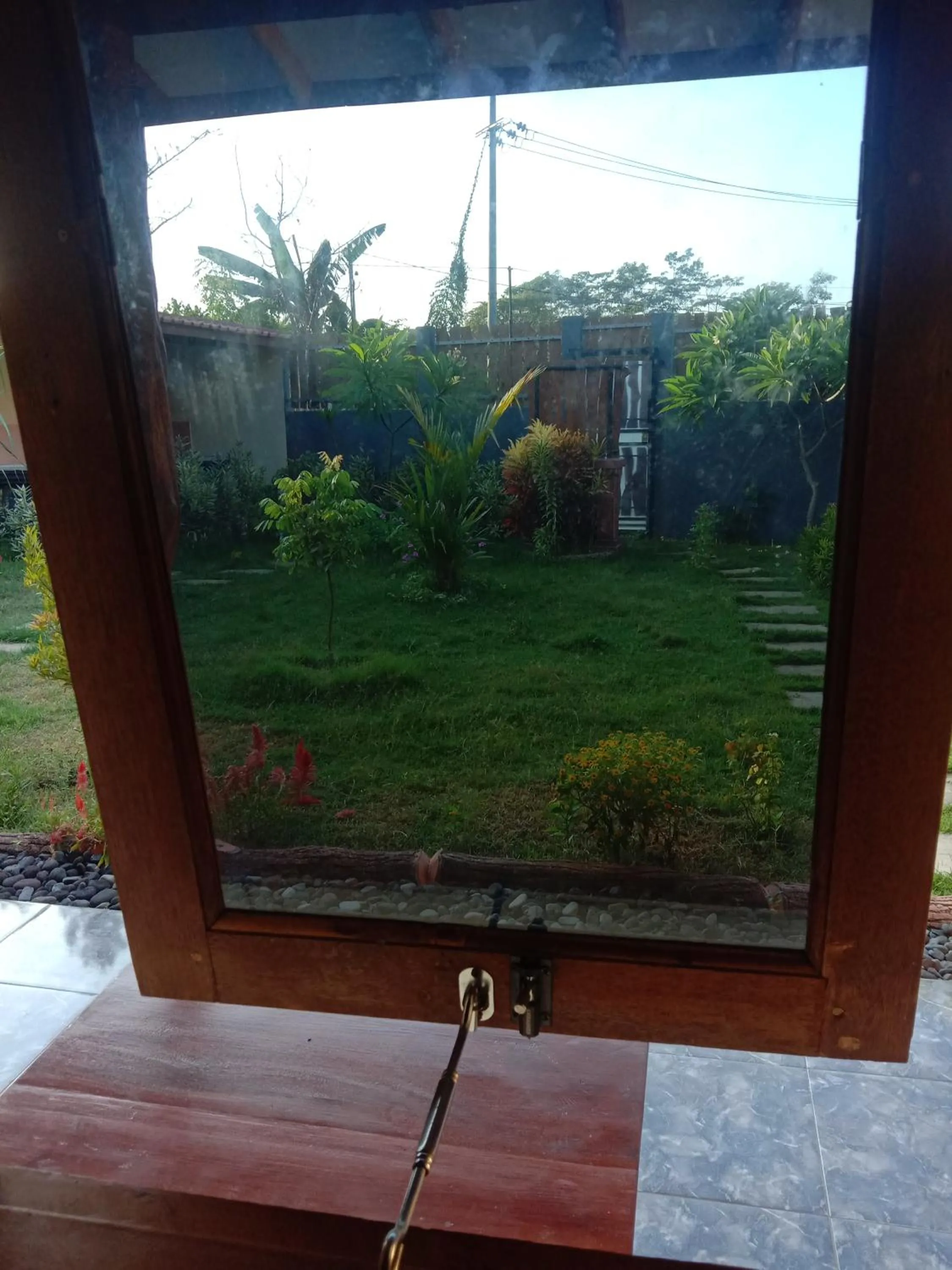Garden view in Sunrise Banyuwangi Homestay