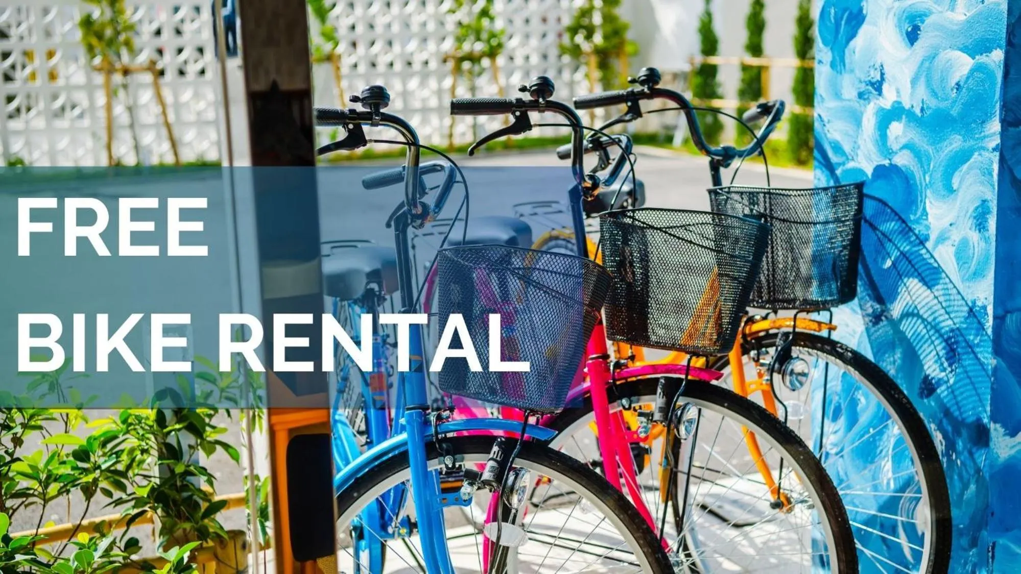 Activities in oile by DSH Resorts