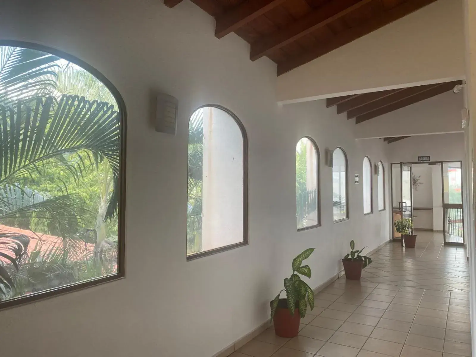 Garden view in Hotel Pez Vela Garden view in Hotel Pez Vela