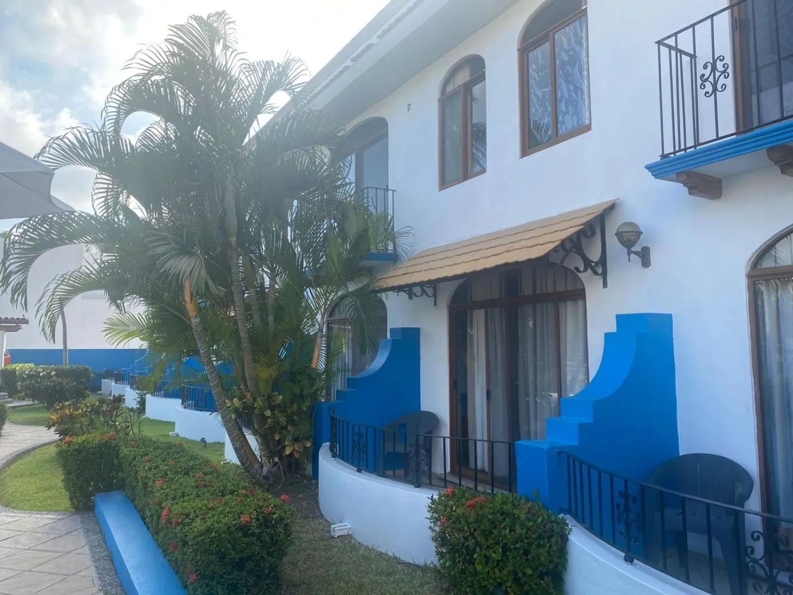 Garden view in Hotel Pez Vela