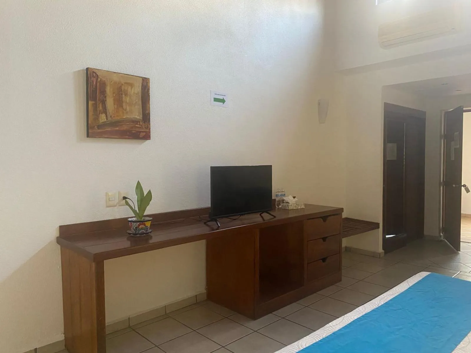 TV and multimedia in Hotel Pez Vela