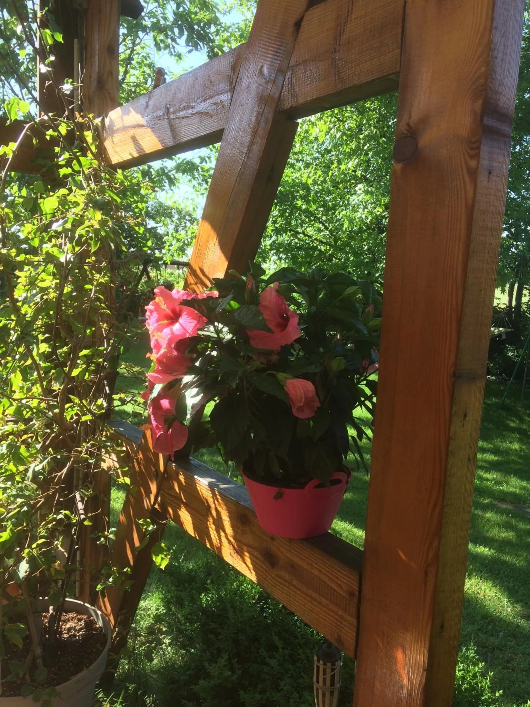 Garden view in Sud Hotel