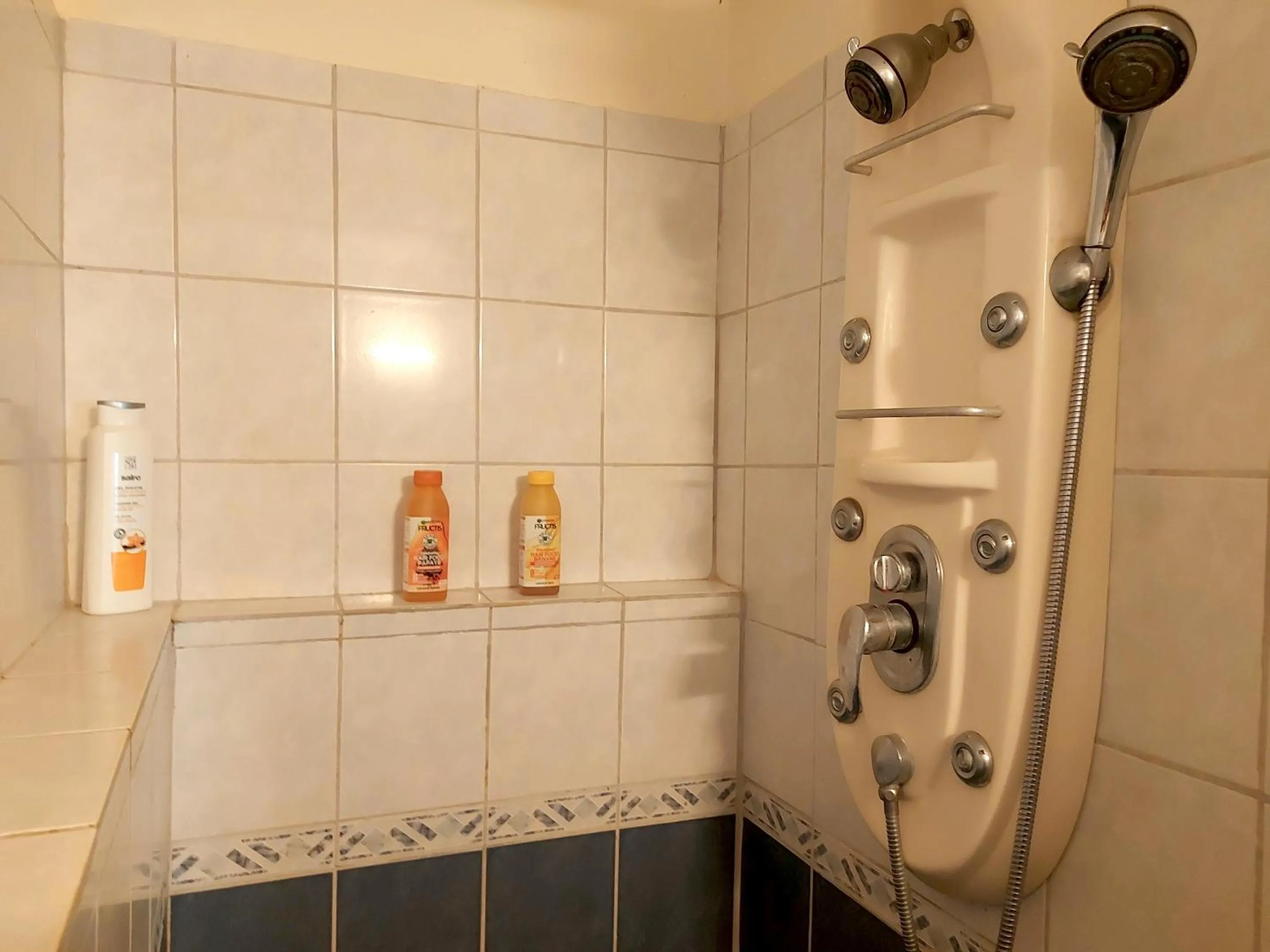 Shower in Maison charmante à Le Diamant avec vue sur mer et jardin