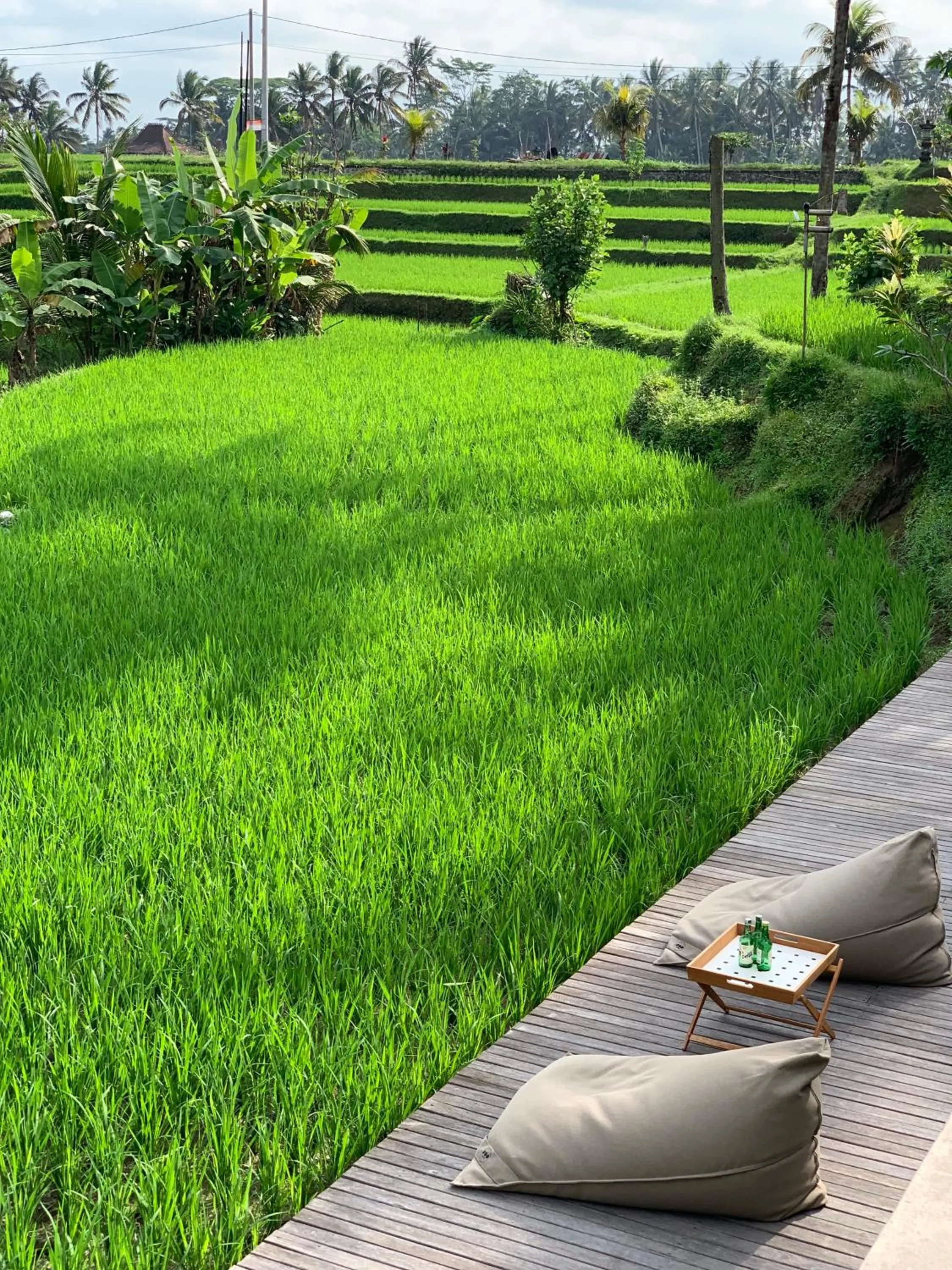 Natural landscape in Umah Tirta