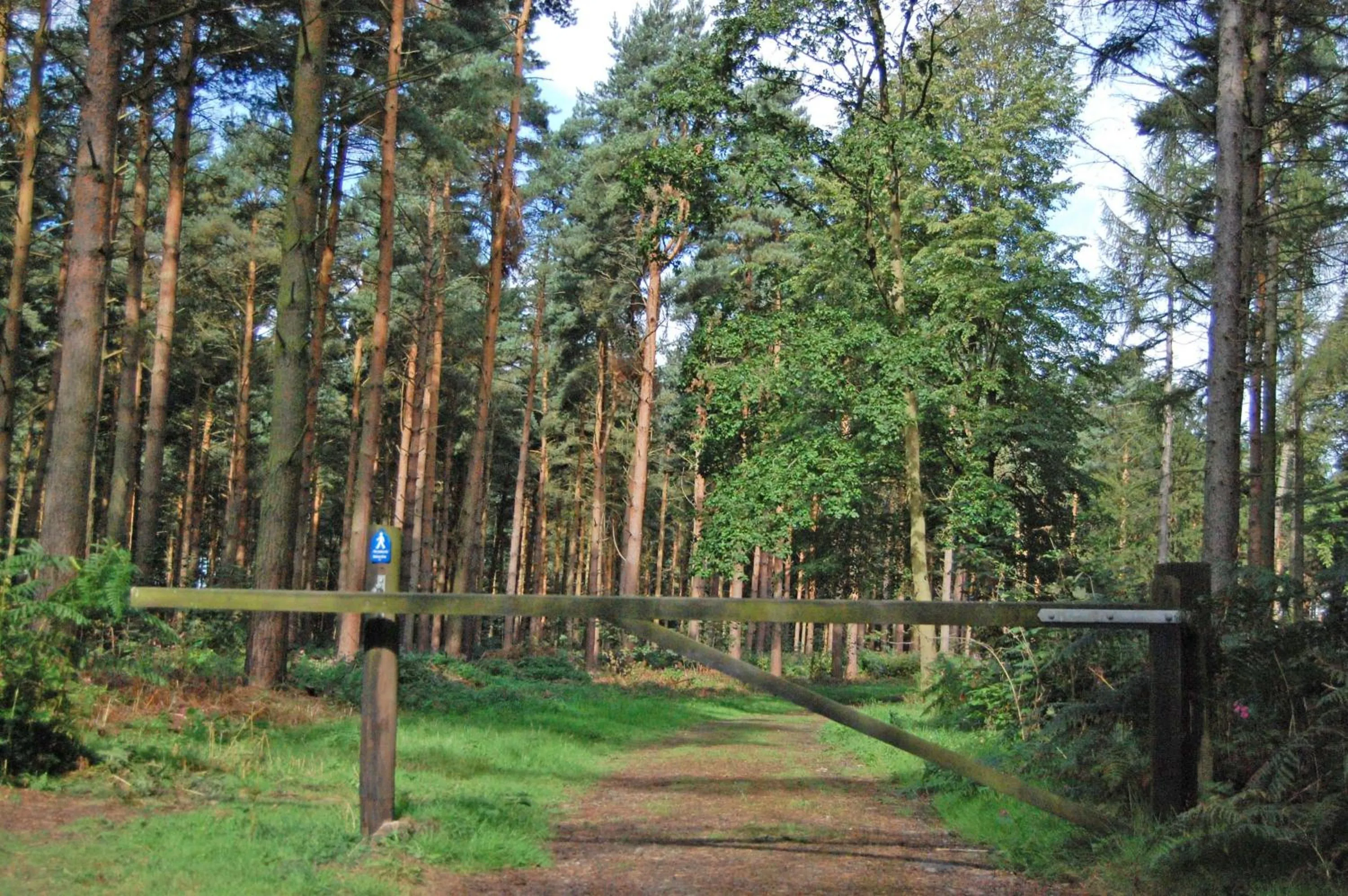 Natural landscape in Hollicarrs - Honeycomb Lodge