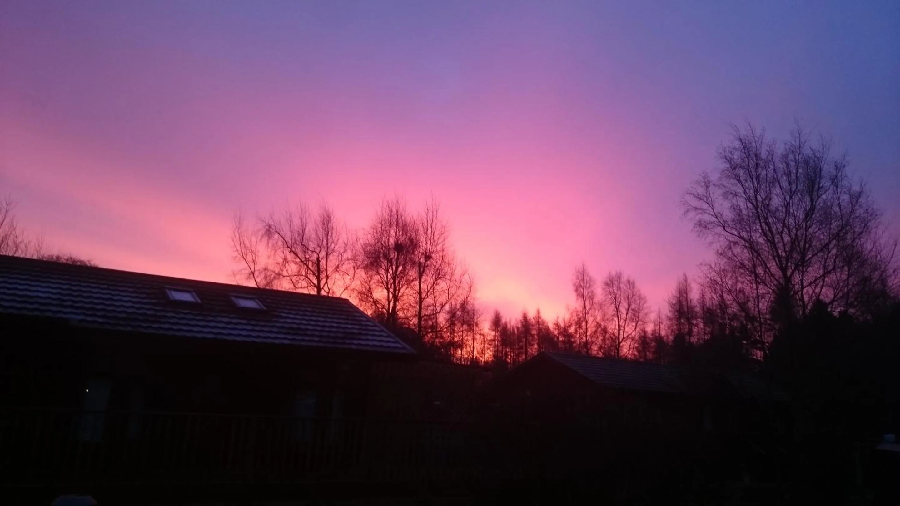 Natural landscape in Hollicarrs - Honeycomb Lodge