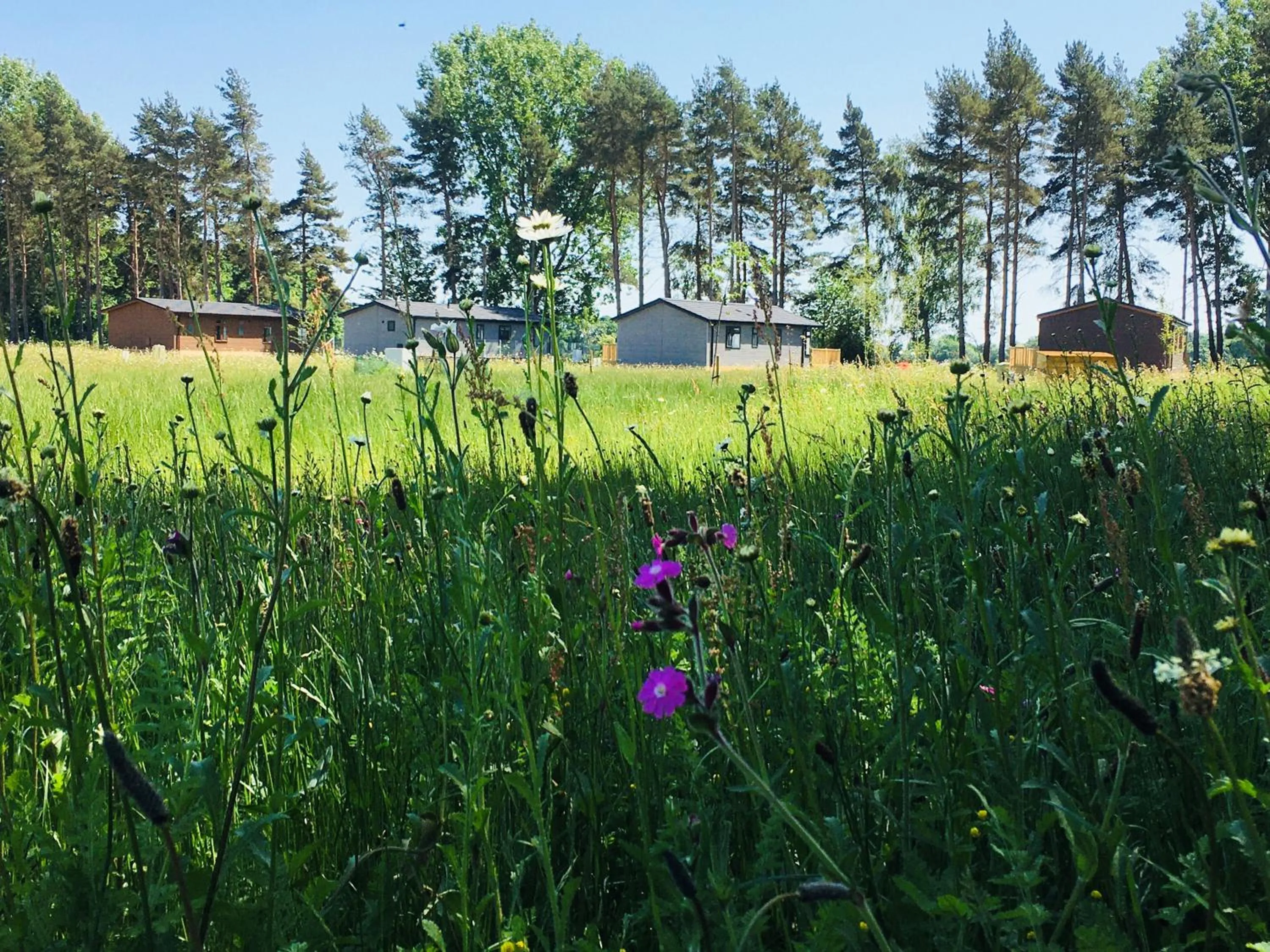 Natural landscape in Hollicarrs - Honeycomb Lodge