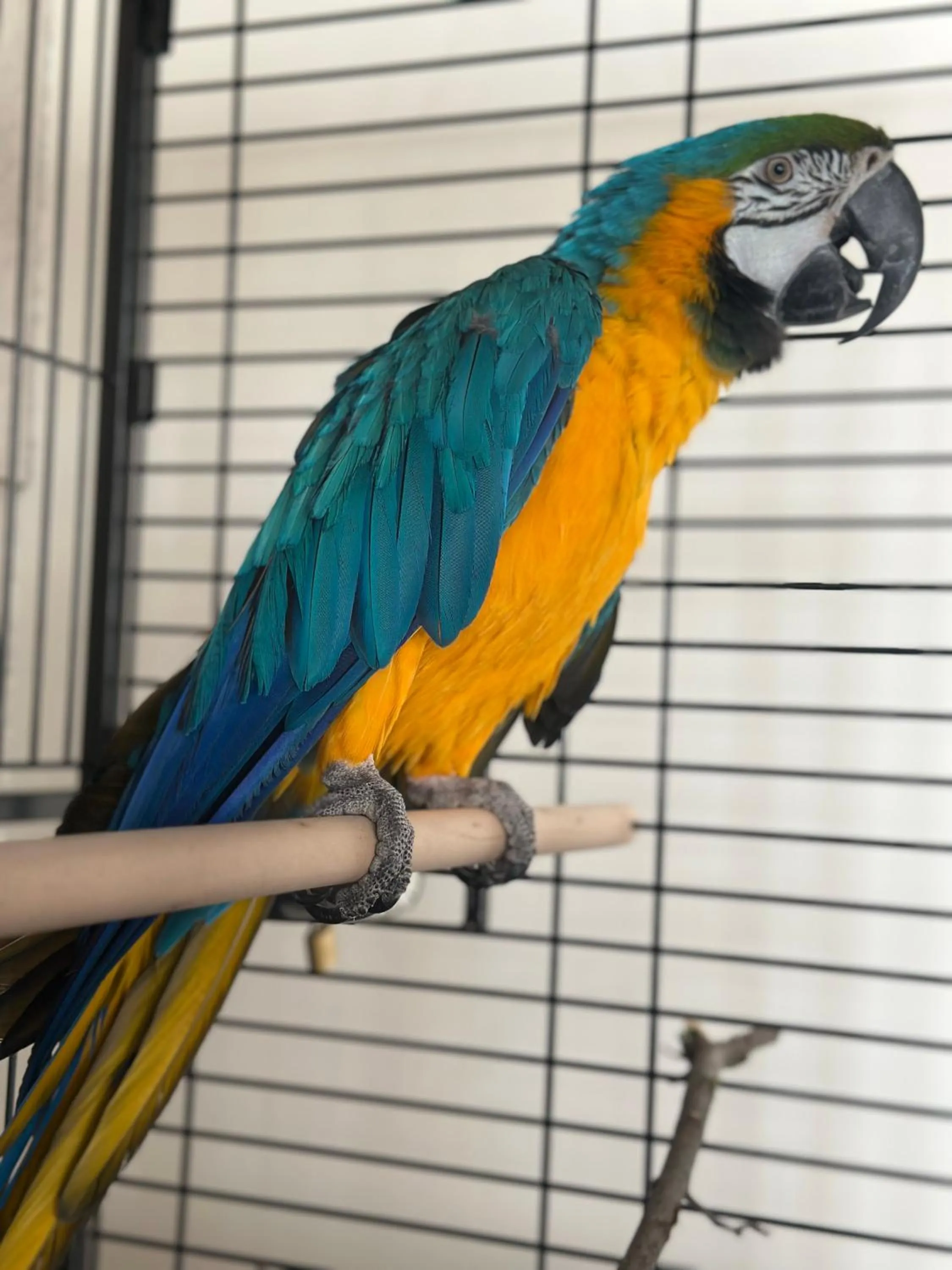 Aurora Resort Tsaghkadzor, By One