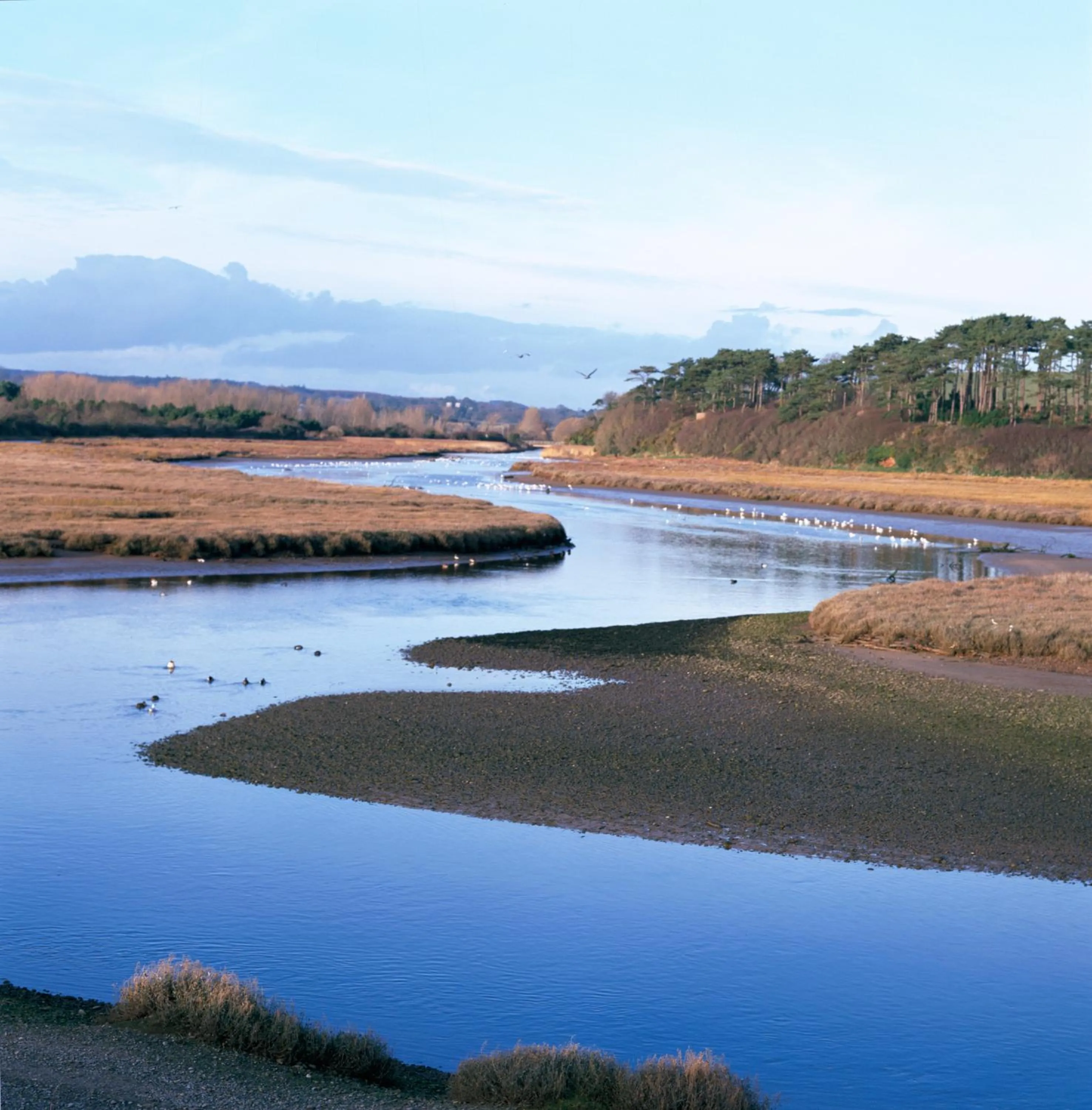 Bird's eye view in The Long Range