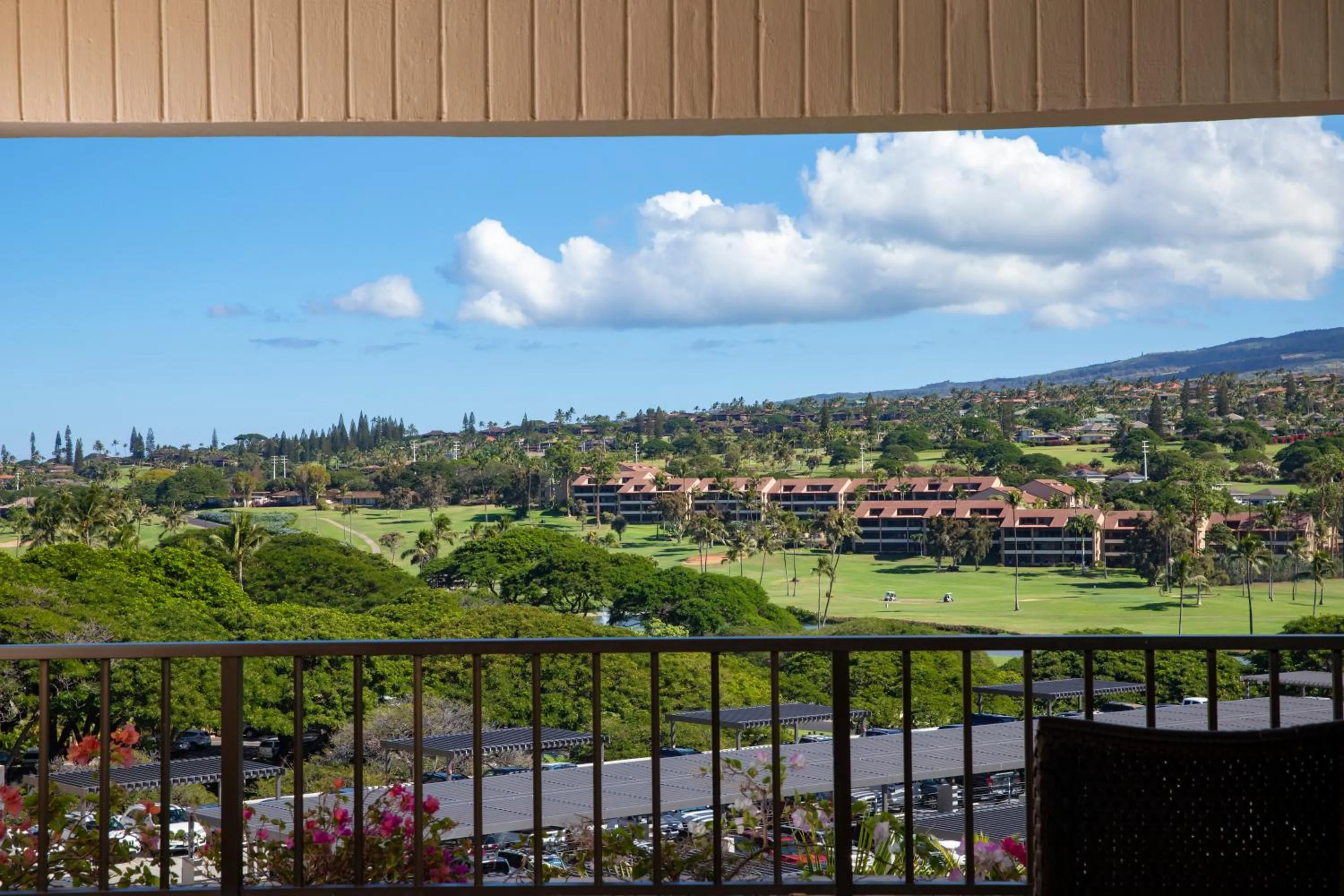 View (from property/room) in Kaanapali Alii