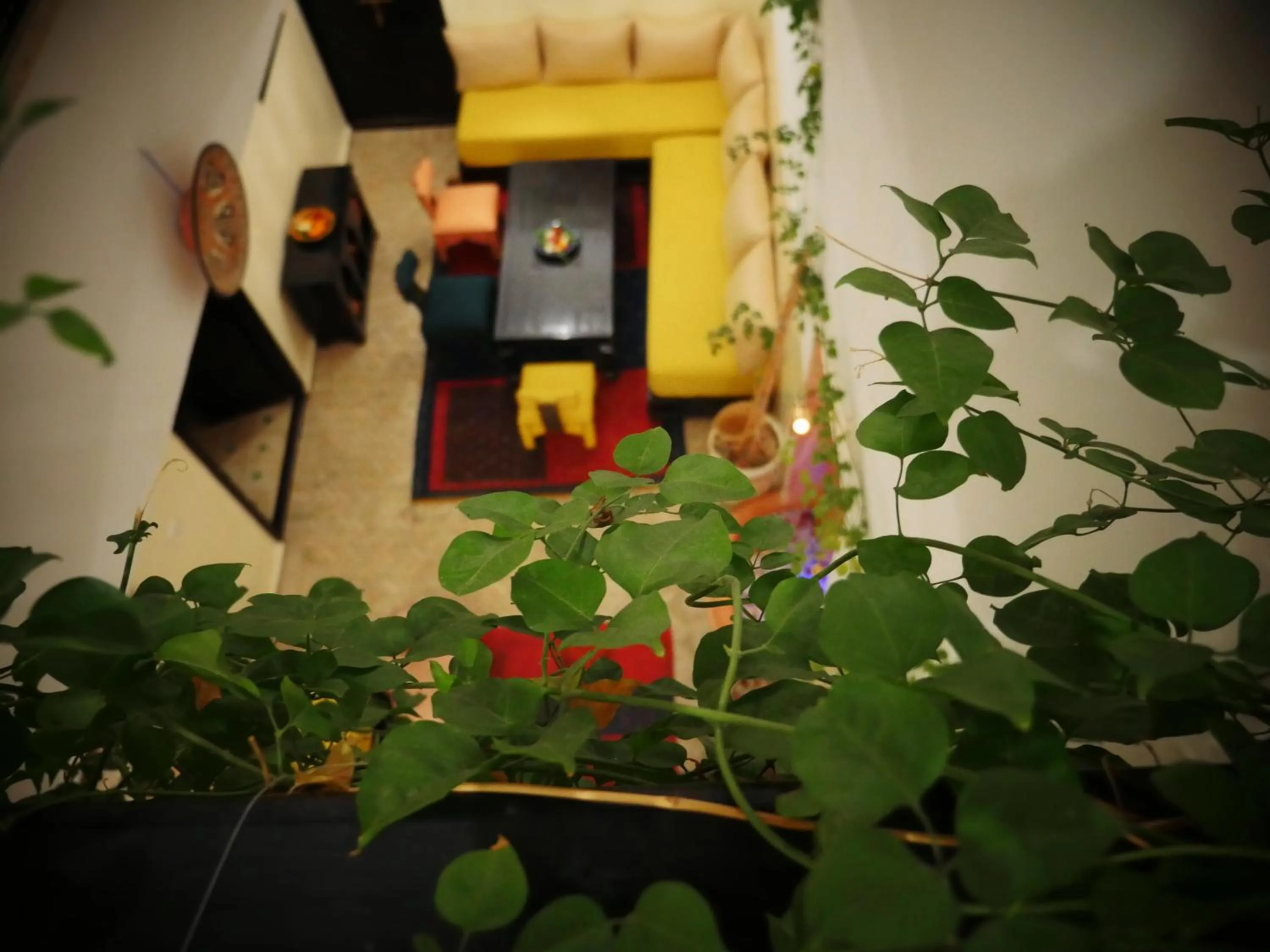 Property building in SARDINAS & CHILI