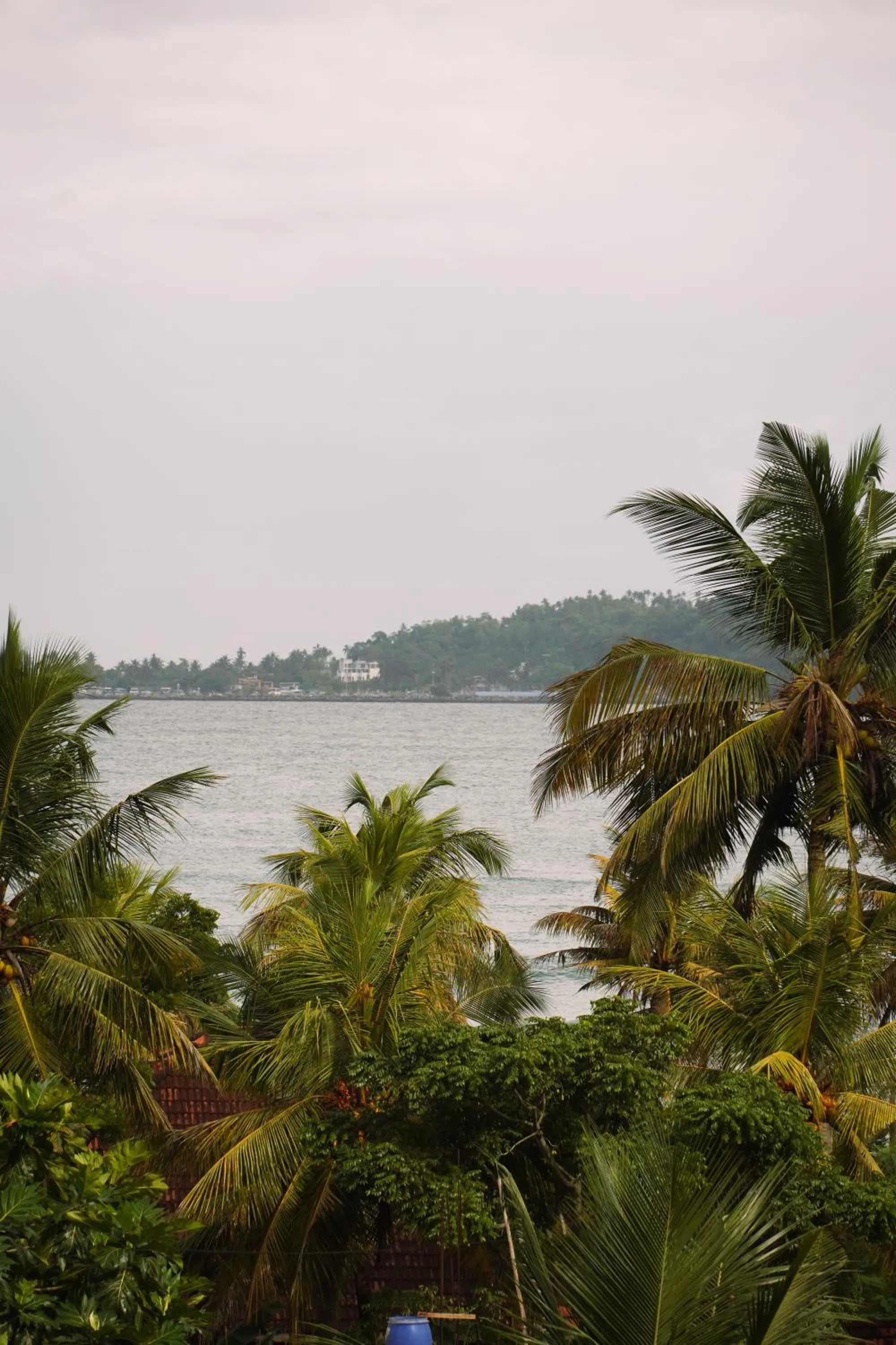 Beach in Scenic Bay Weligama