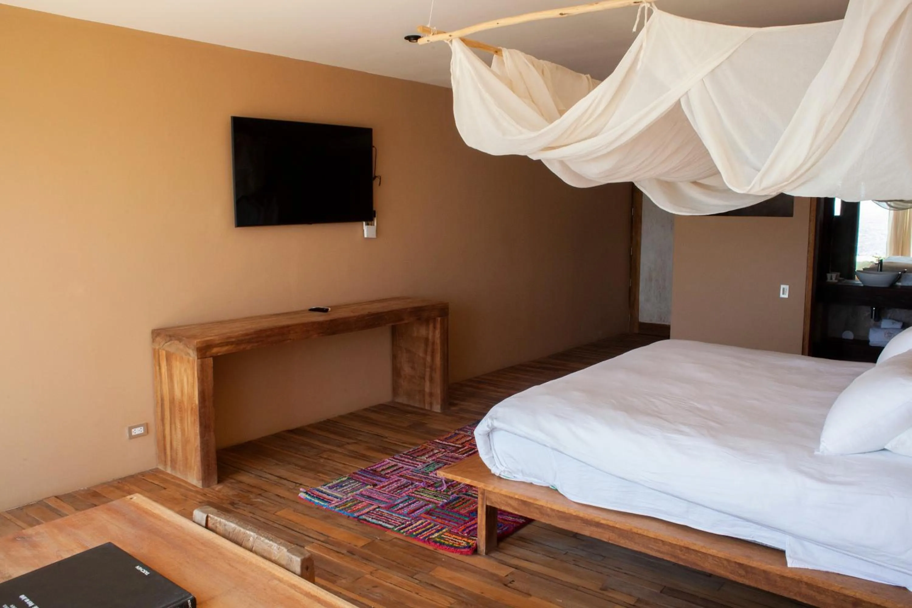 TV and multimedia in Alma Loft