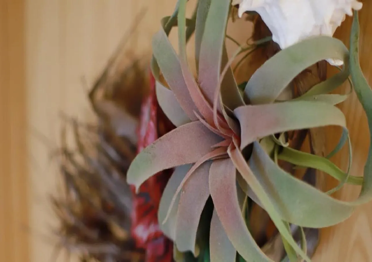 Star Light Terrace TERUYA / Vacation STAY 64942